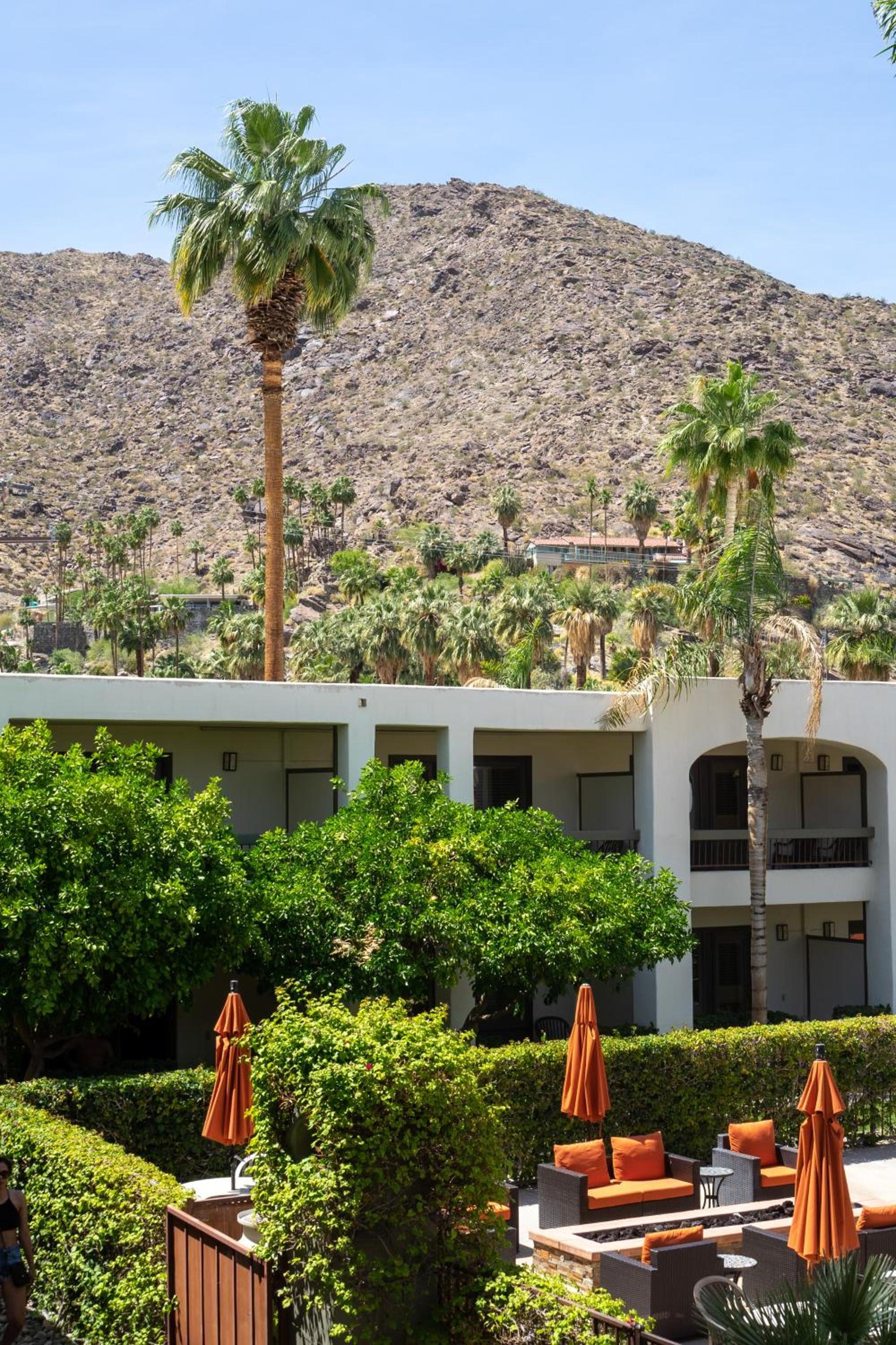 Palm Mountain Resort & Spa photo 13