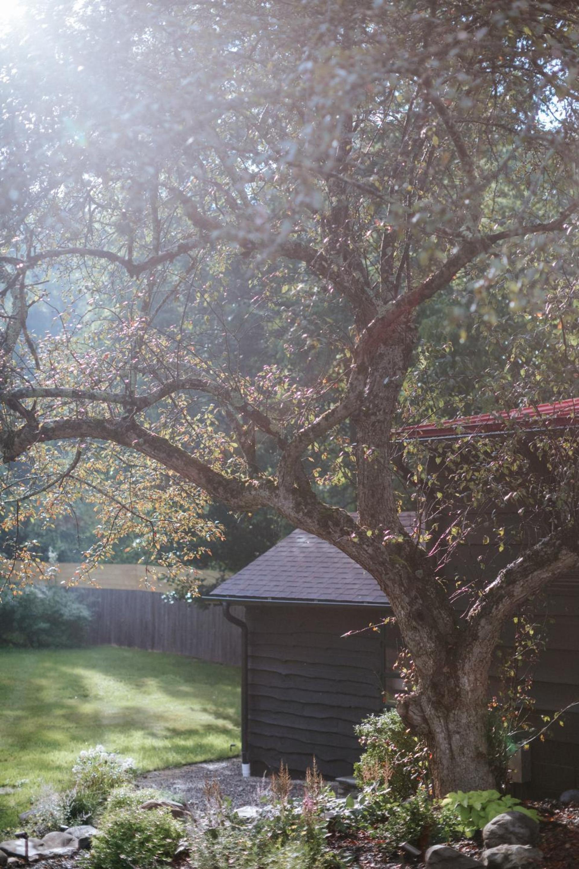 The Leeway photo 60