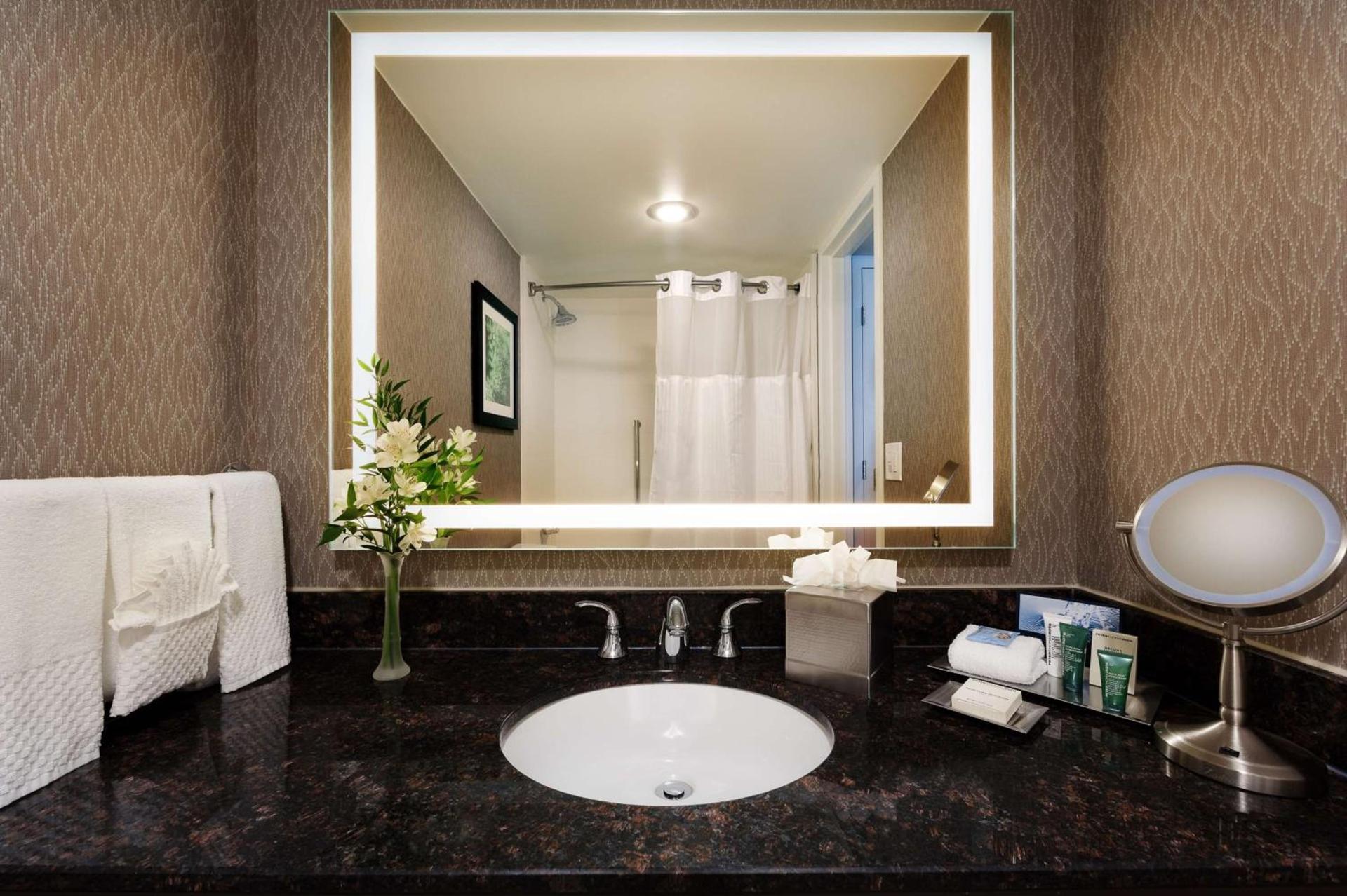 Hilton Cincinnati Airport photo 25