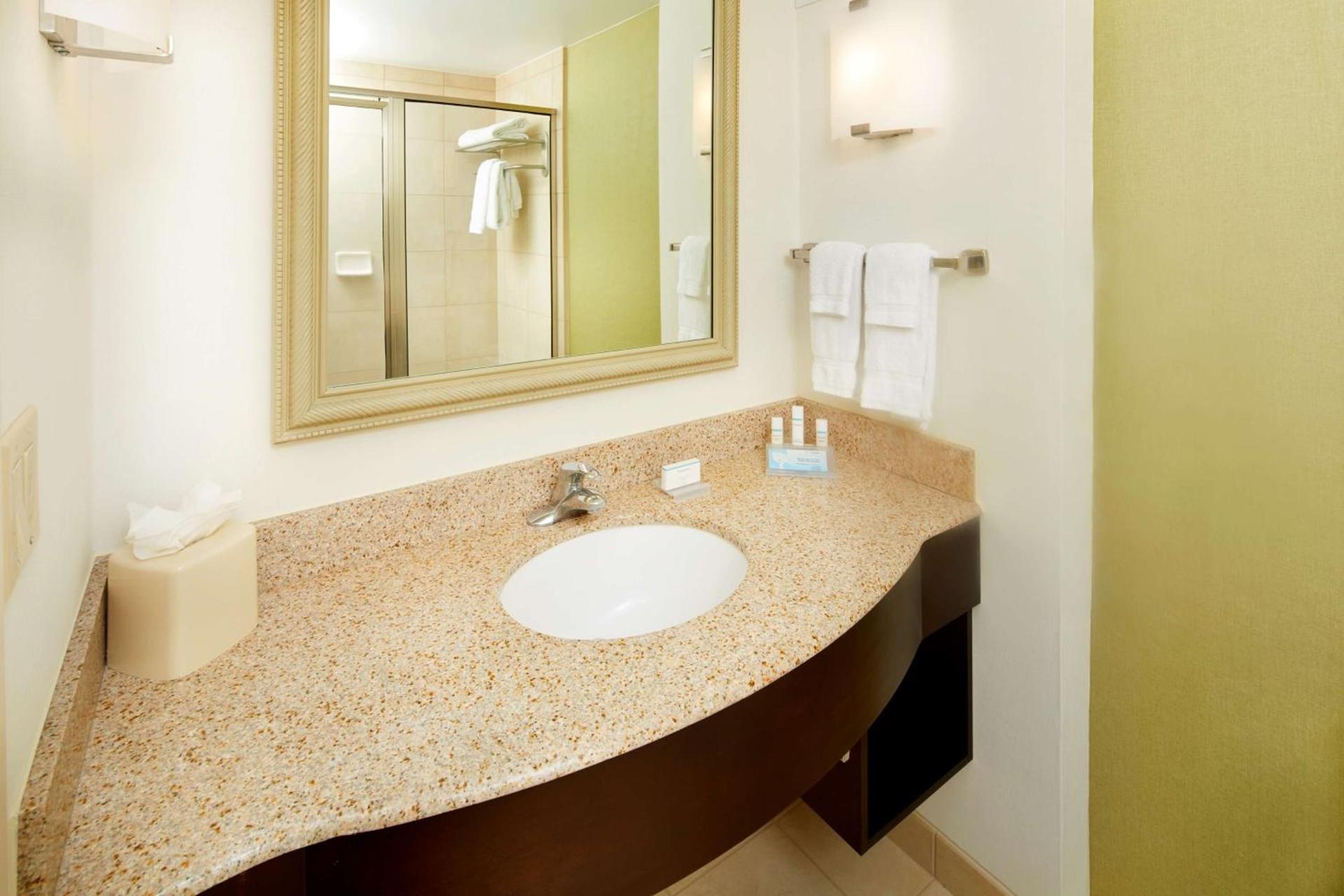 Hilton Garden Inn Savannah Midtown photo 18