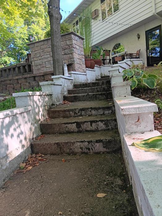 White Birch Inn photo 10