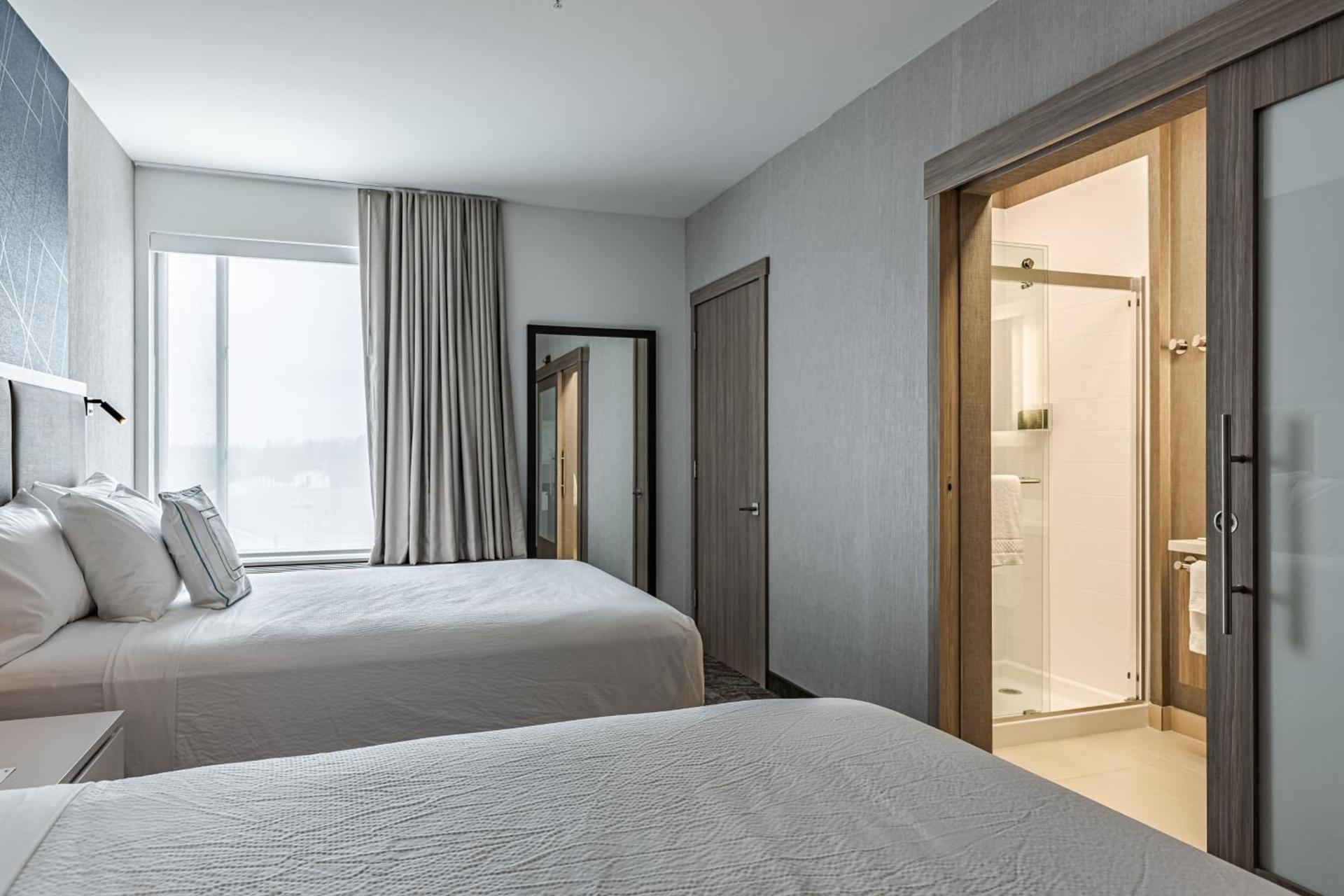 SpringHill Suites by Marriott Detroit Sterling Heights photo 13