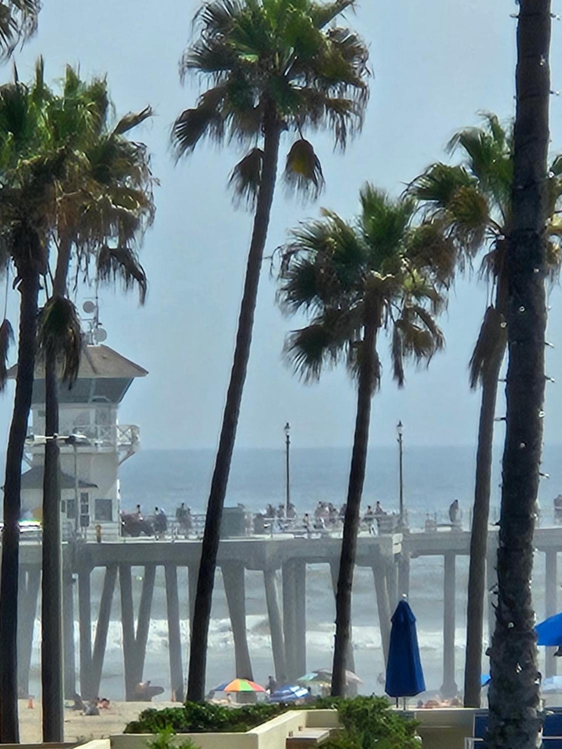 Huntington Surf Inn photo 39