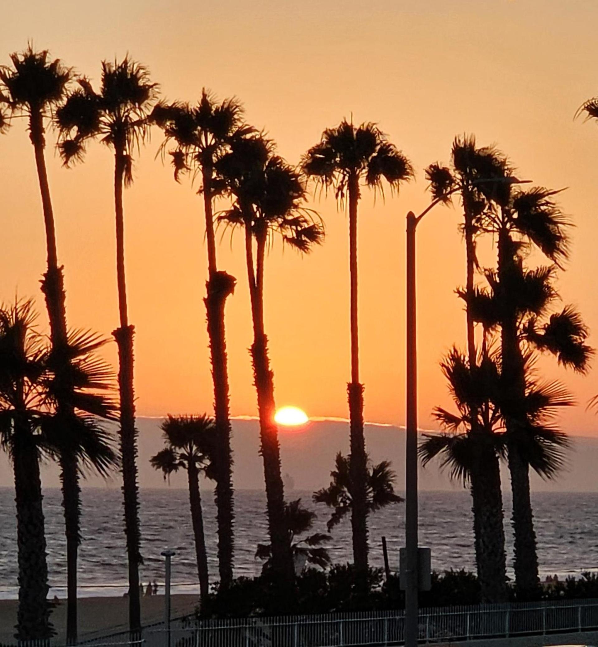 Huntington Surf Inn photo 2