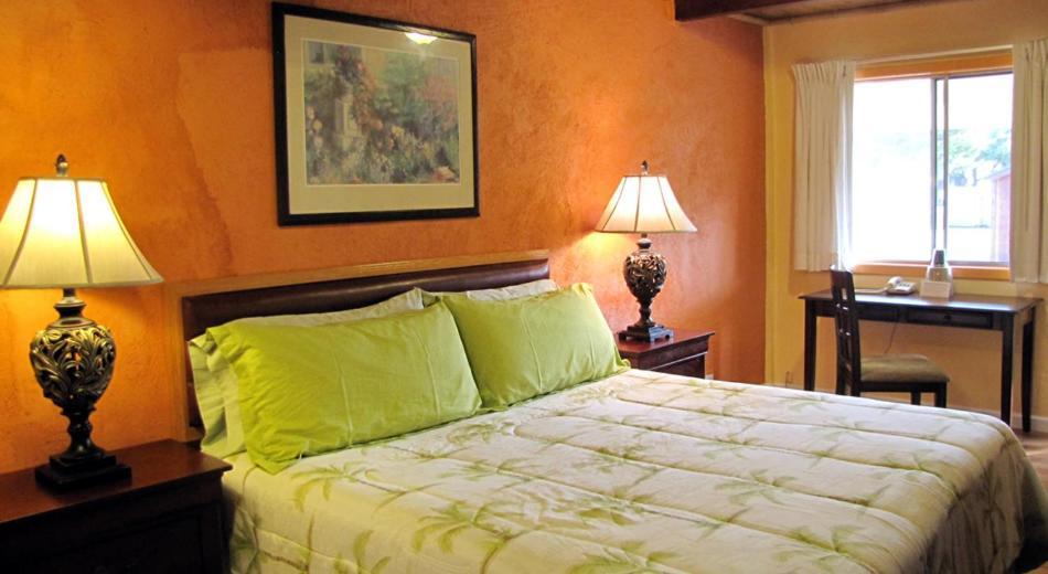 Coast Inn and Spa photo 7