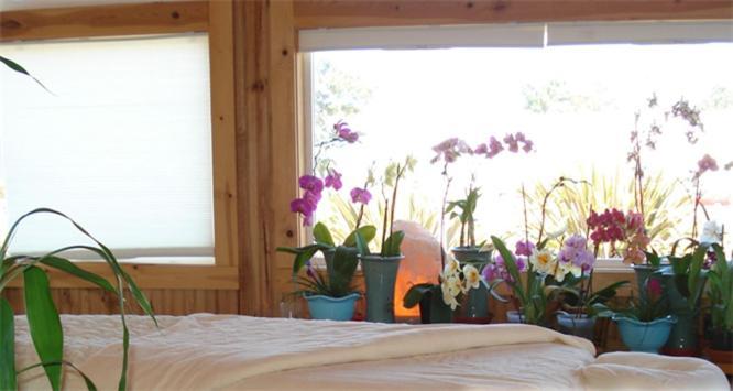 Coast Inn and Spa photo 12