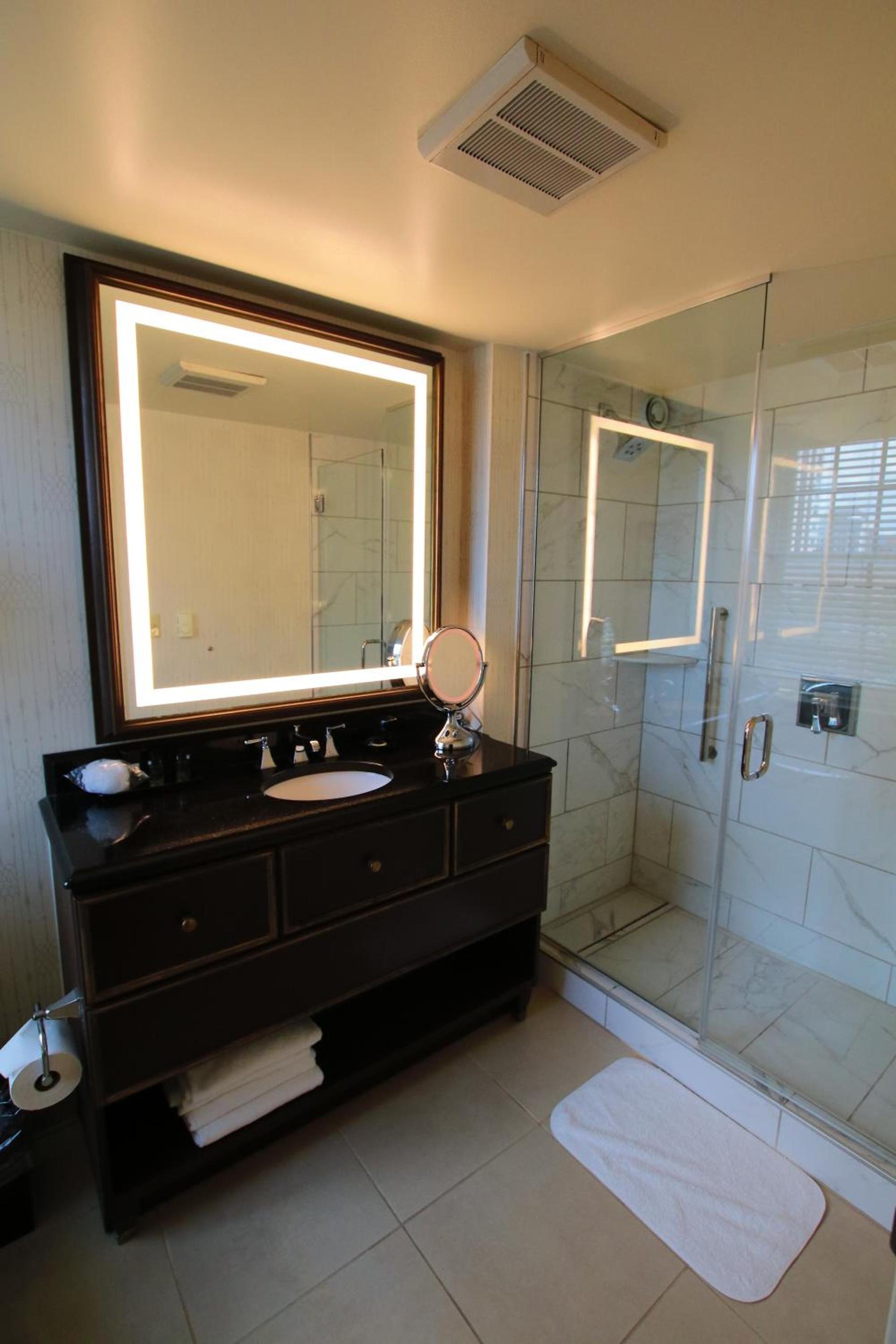 Hotel Roanoke & Conference Center, Curio Collection by Hilton photo 73