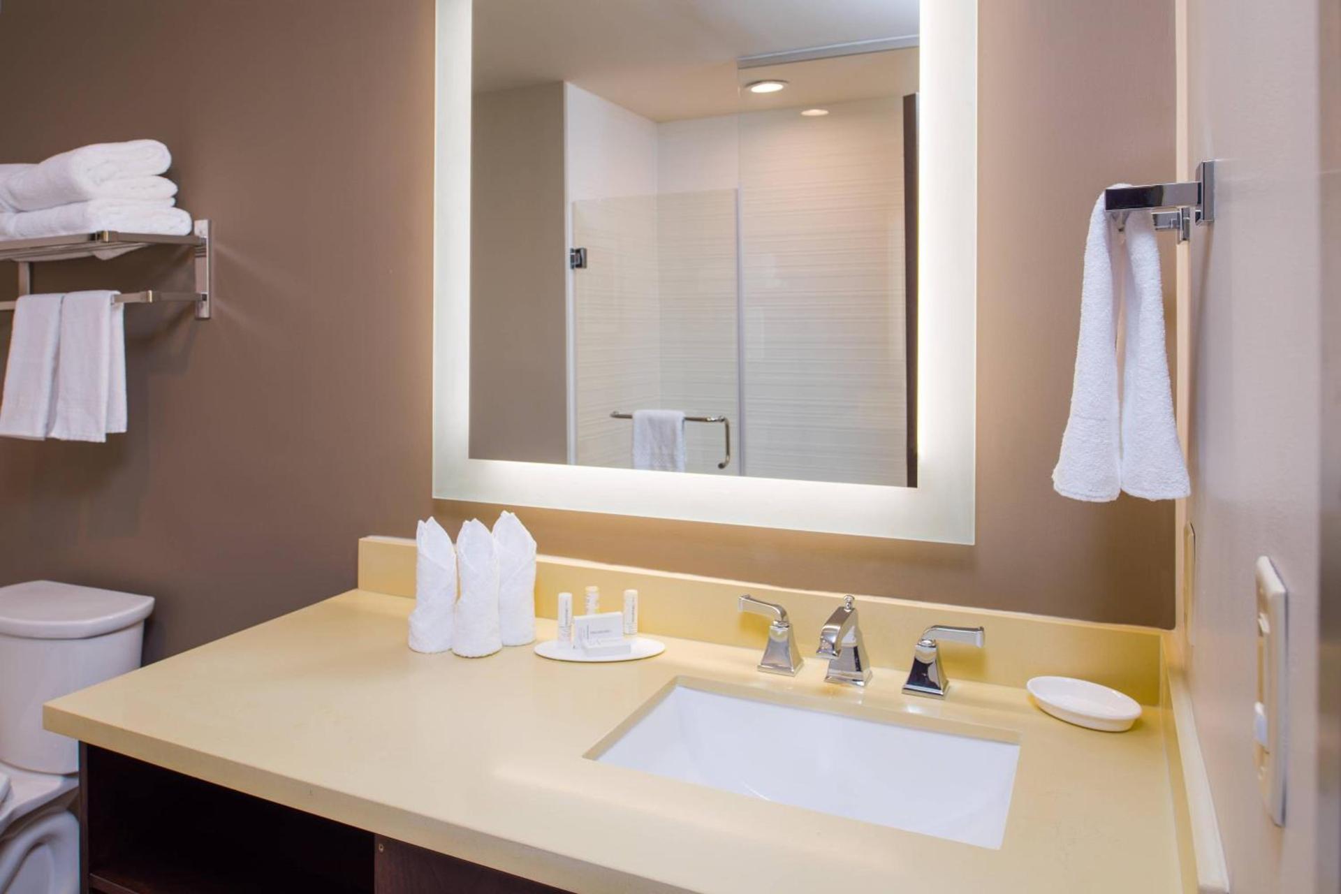 Fairfield by Marriott Inn & Suites New Orleans Downtown French Quarter Area photo 22