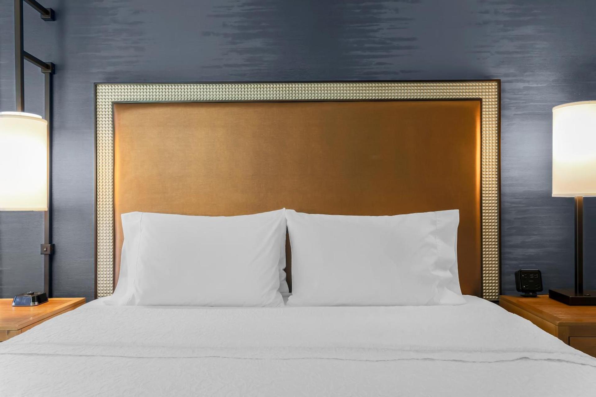 Hampton Inn & Suites Austin - Downtown photo 66