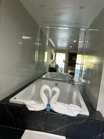 Chino Motel photo 15