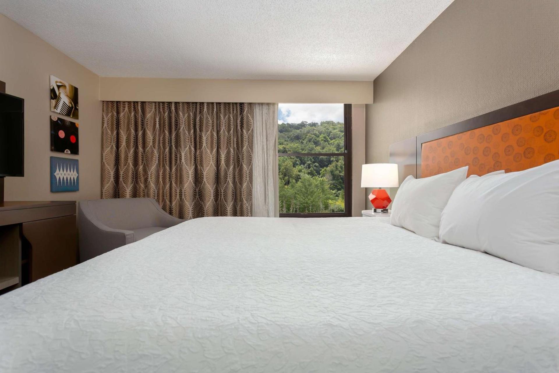 Hampton Inn Bristol photo 20