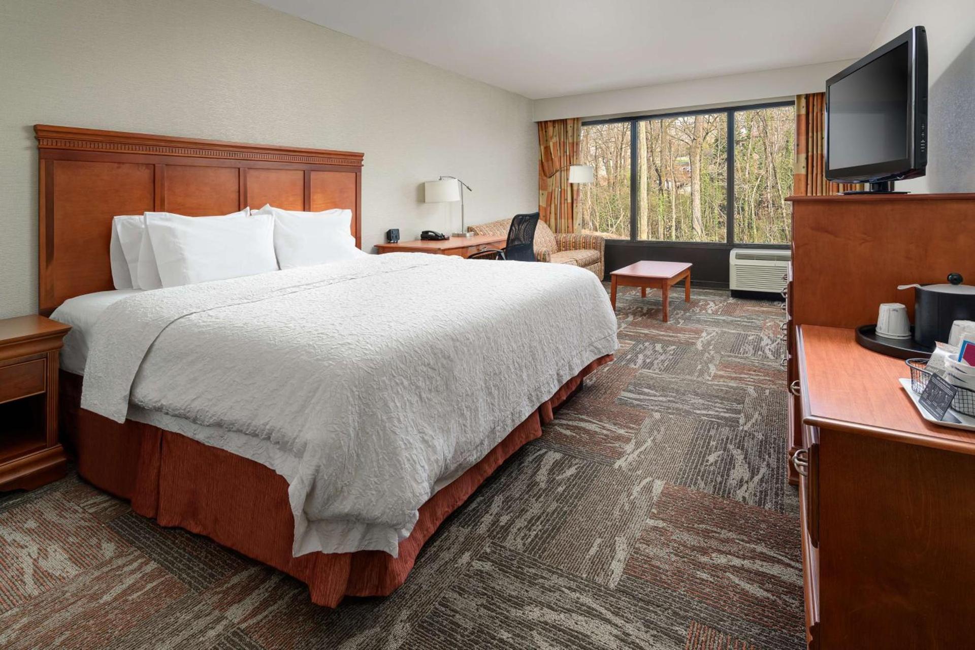 Hampton Inn Oak Ridge Knoxville photo 21
