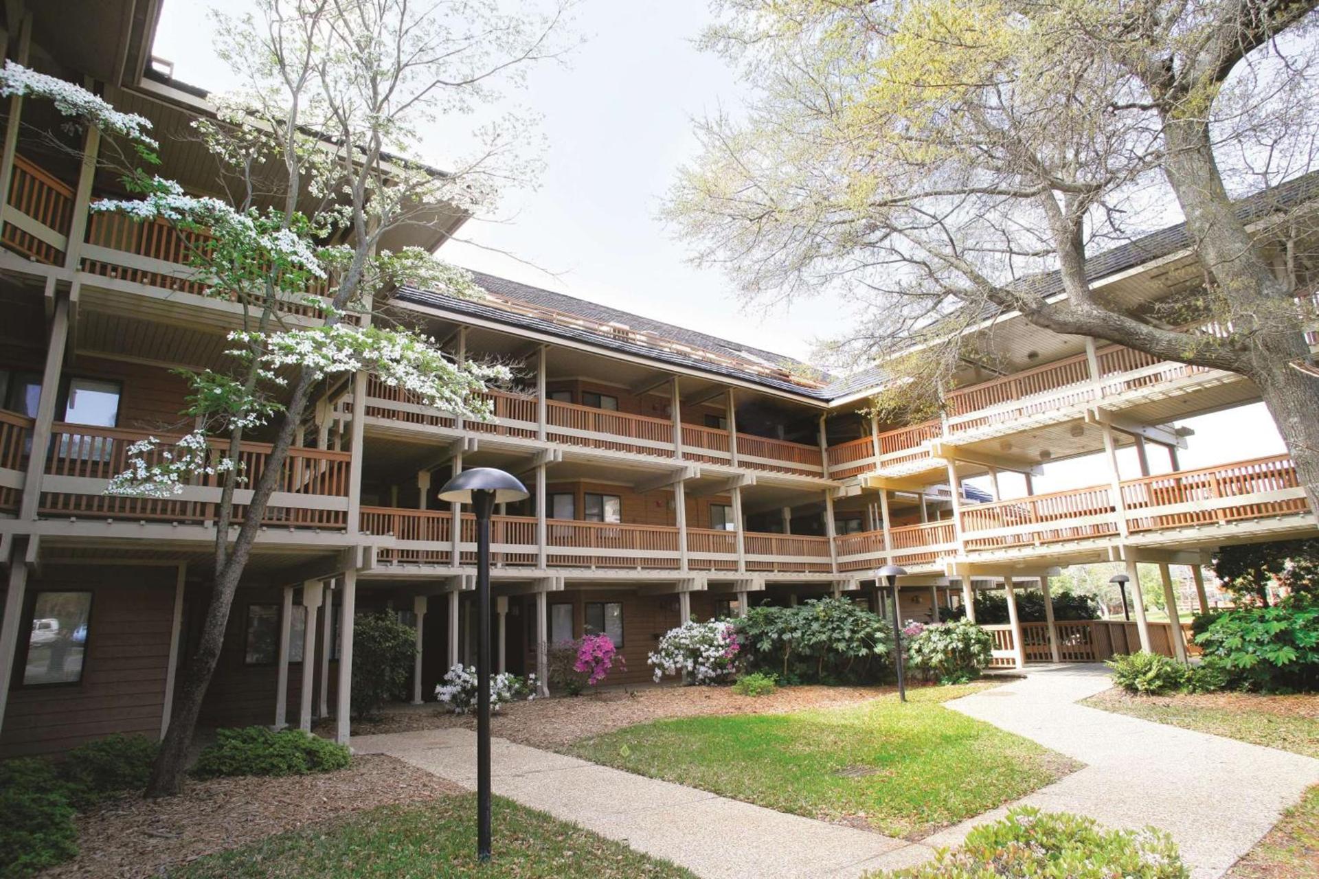 Kingston Plantation Condos photo 3