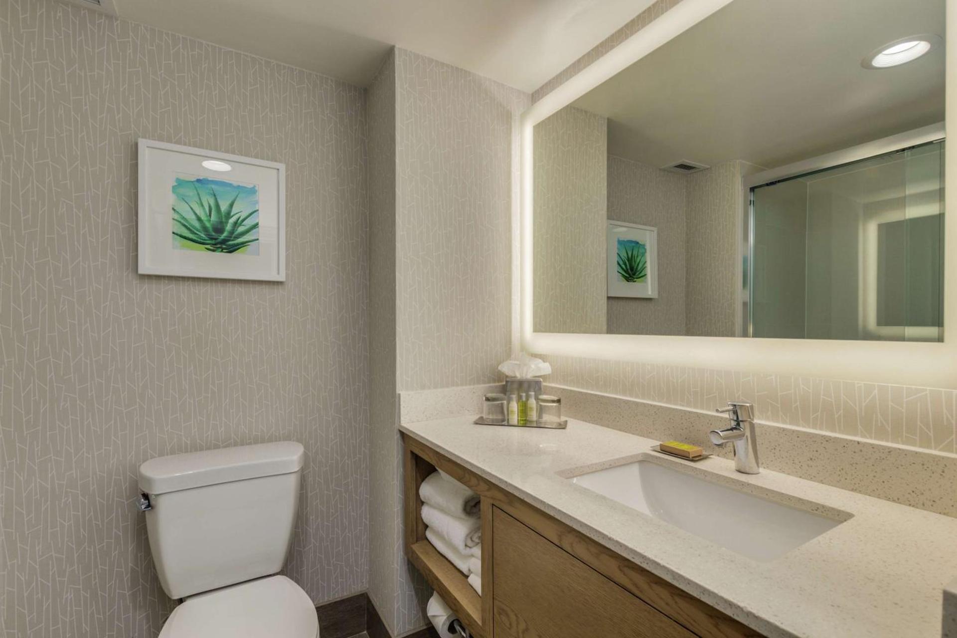 DoubleTree by Hilton Chandler Phoenix, AZ photo 19