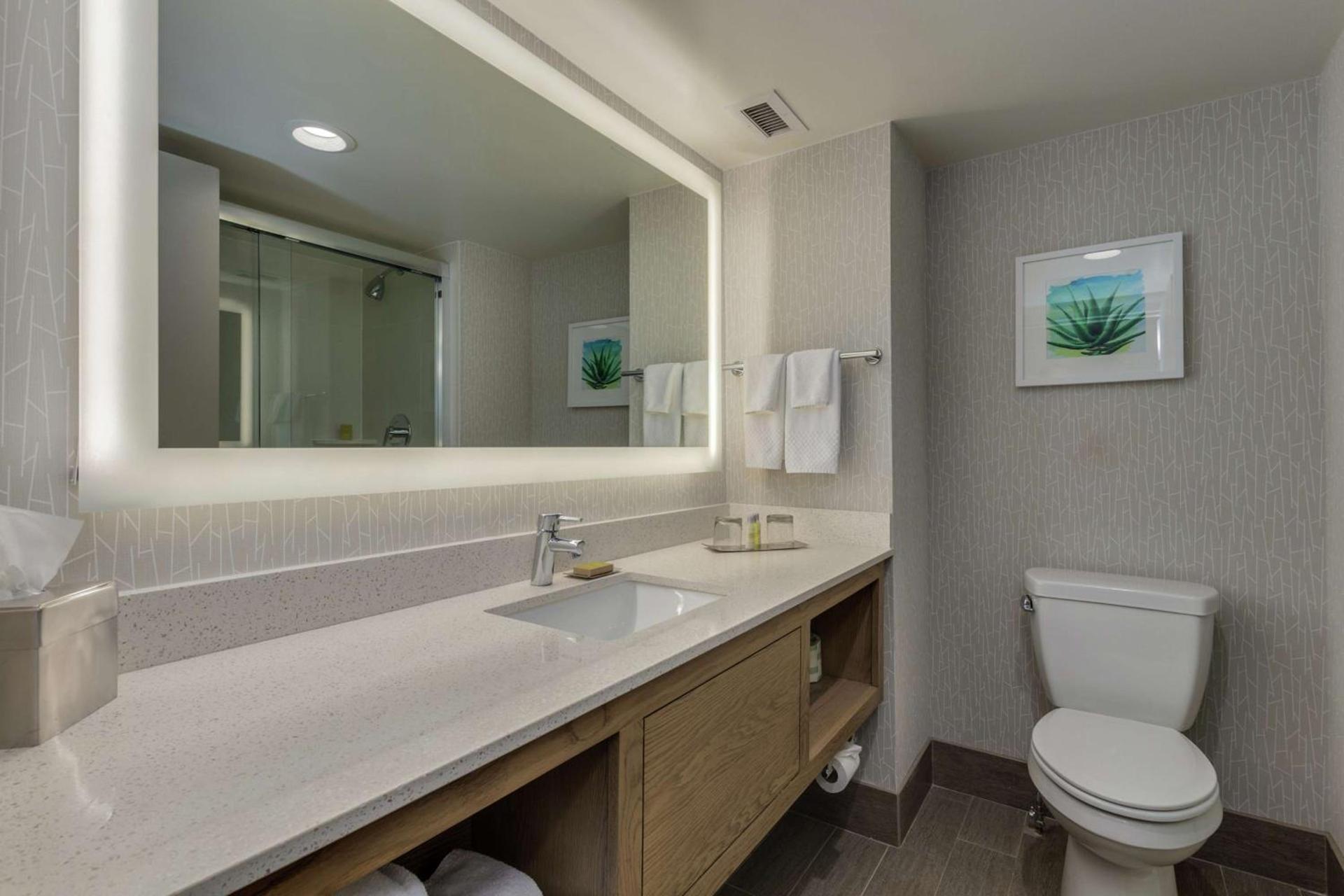 DoubleTree by Hilton Chandler Phoenix, AZ photo 20