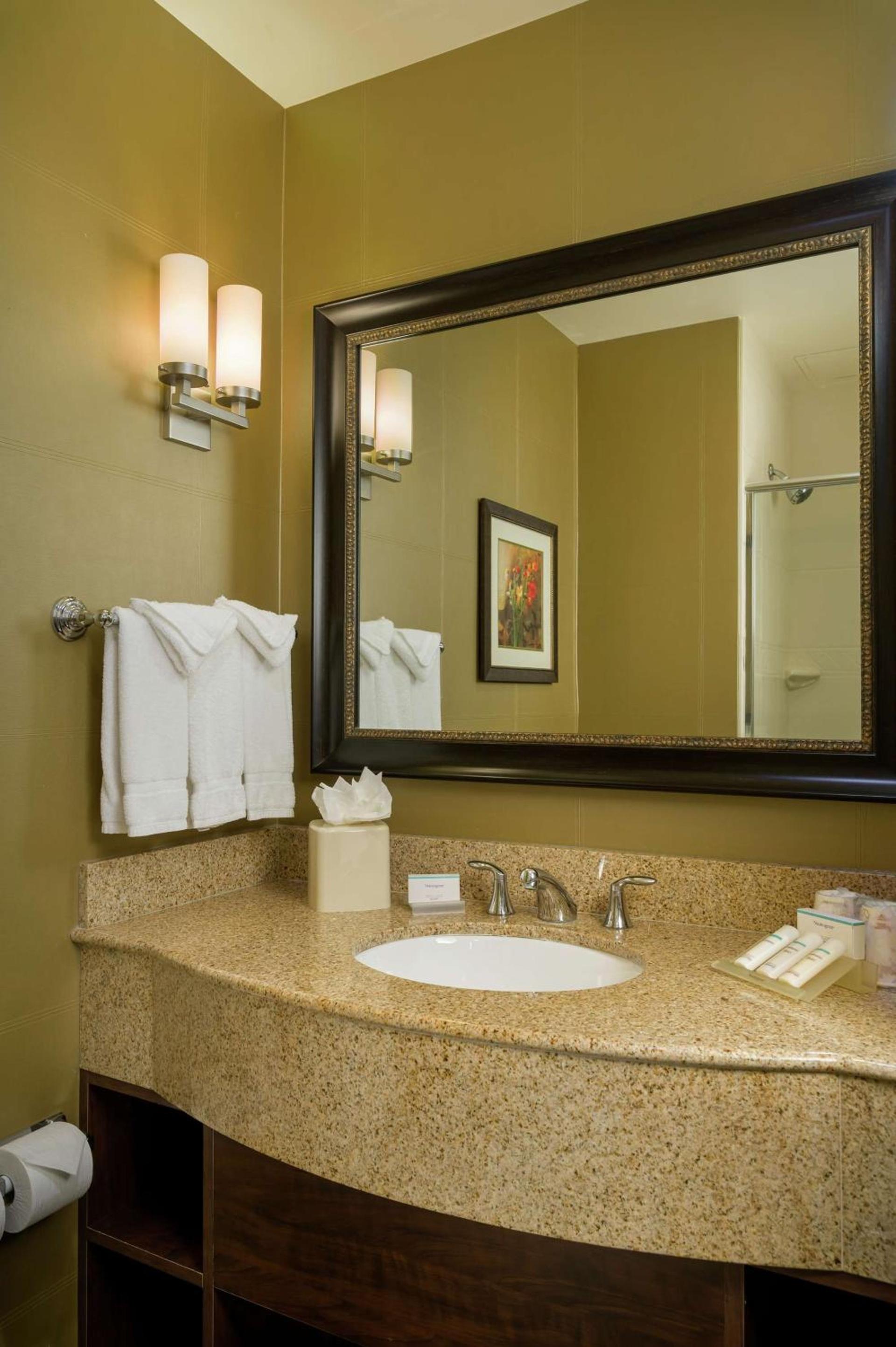 Hilton Garden Inn Phoenix Airport North photo 19