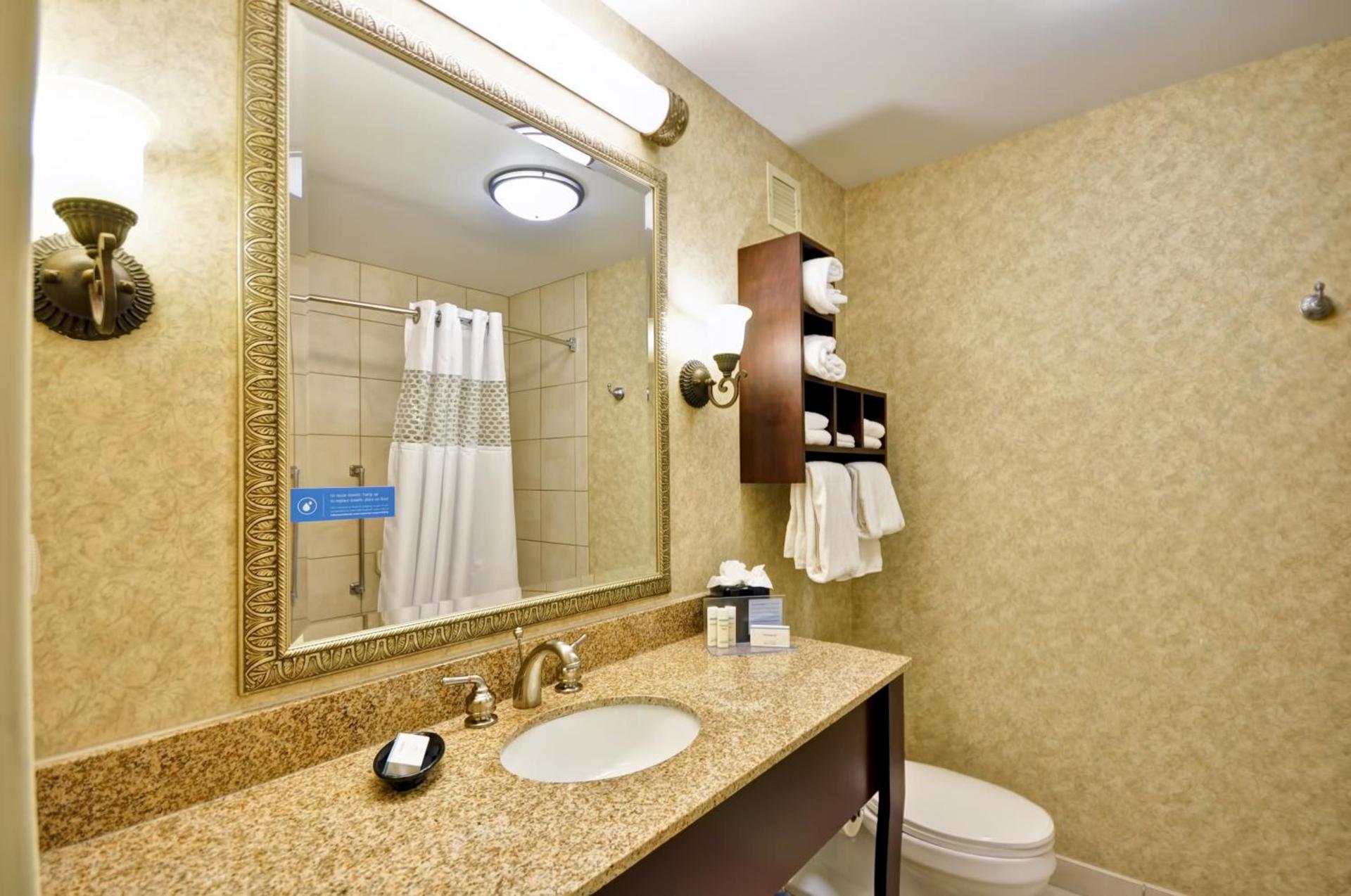 Hampton Inn Charleston-Historic District photo 41