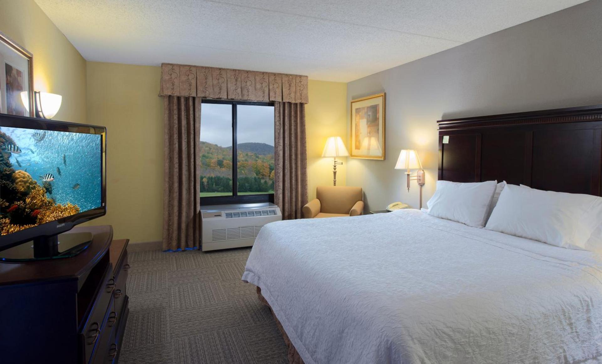 Hampton Inn Bennington photo 35