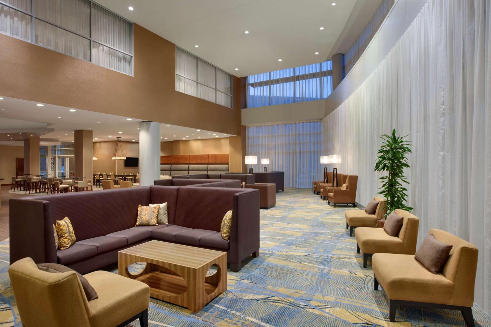 Hilton Baltimore BWI Airport photo 5