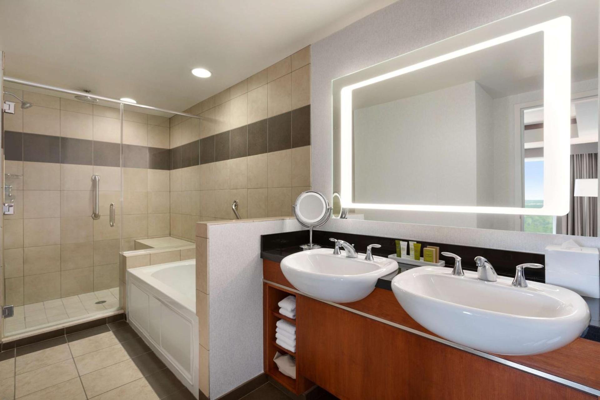 Hilton Baltimore BWI Airport photo 17