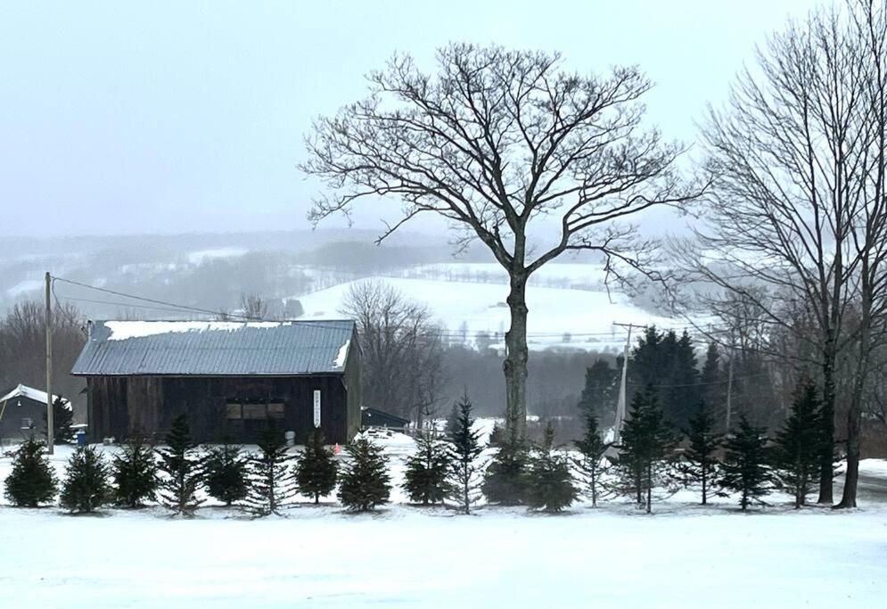 The Hill Top Hall at Camp Bluestone. photo 46