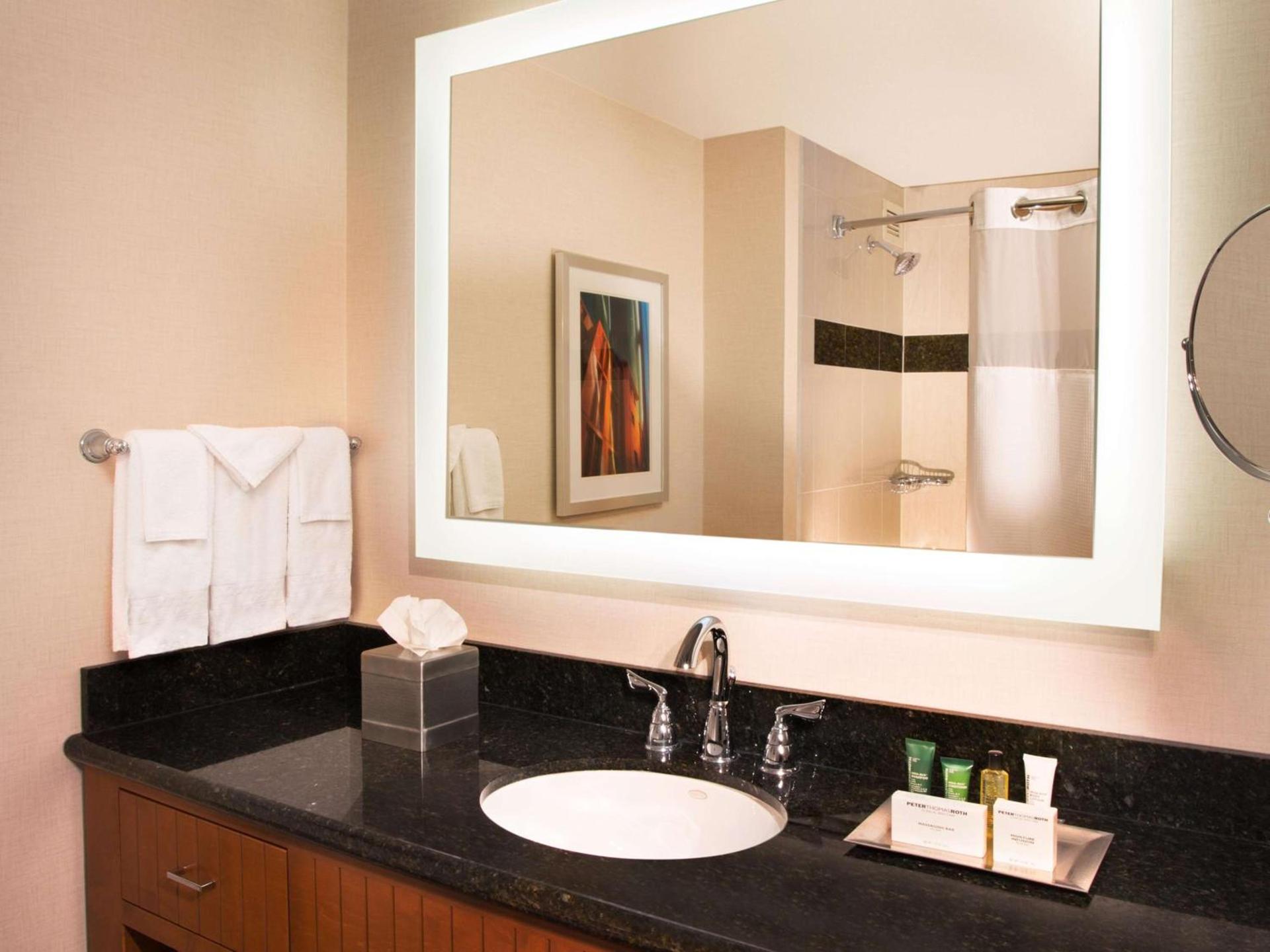 Hilton Minneapolis photo 46