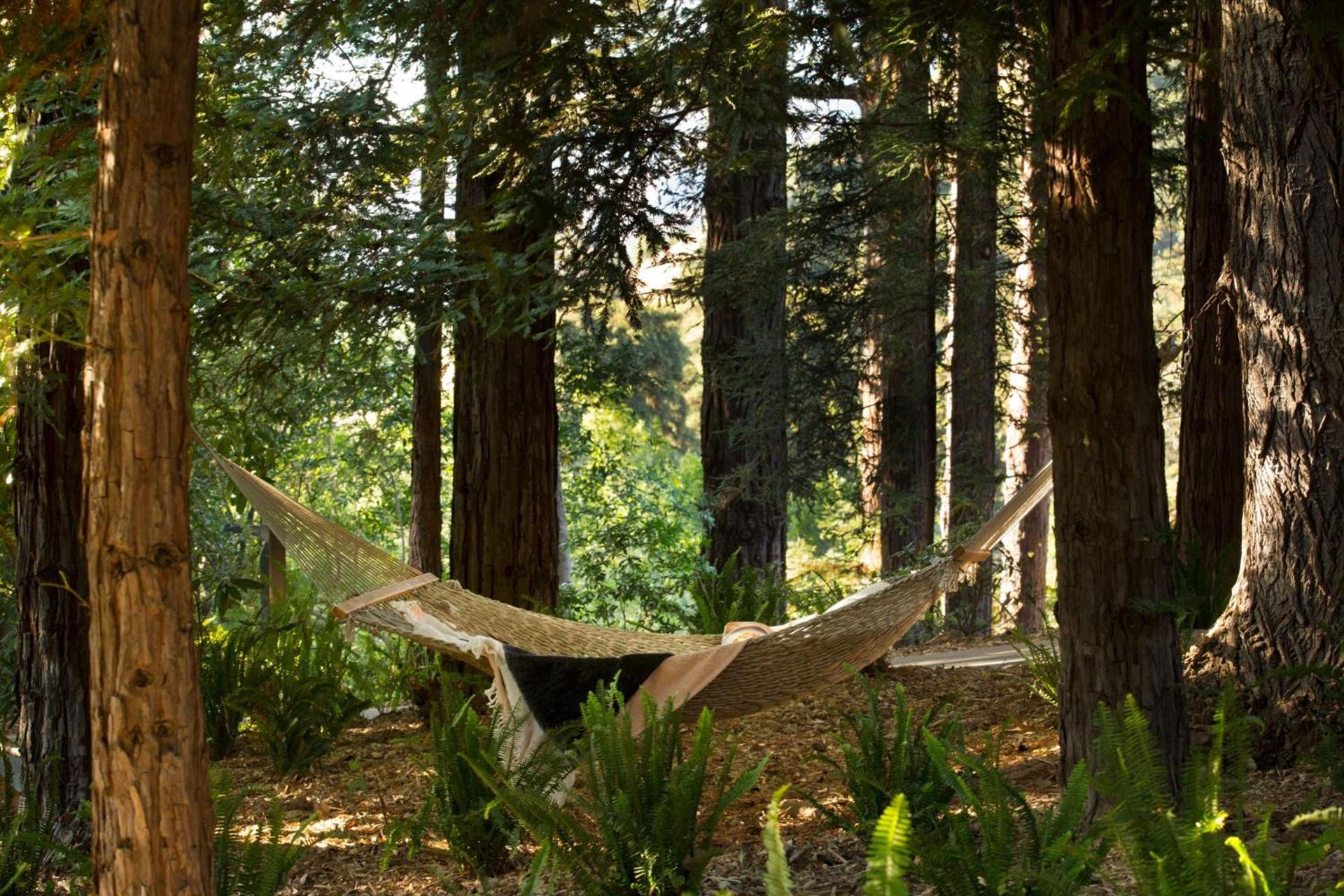 Alila Ventana Big Sur photo 21