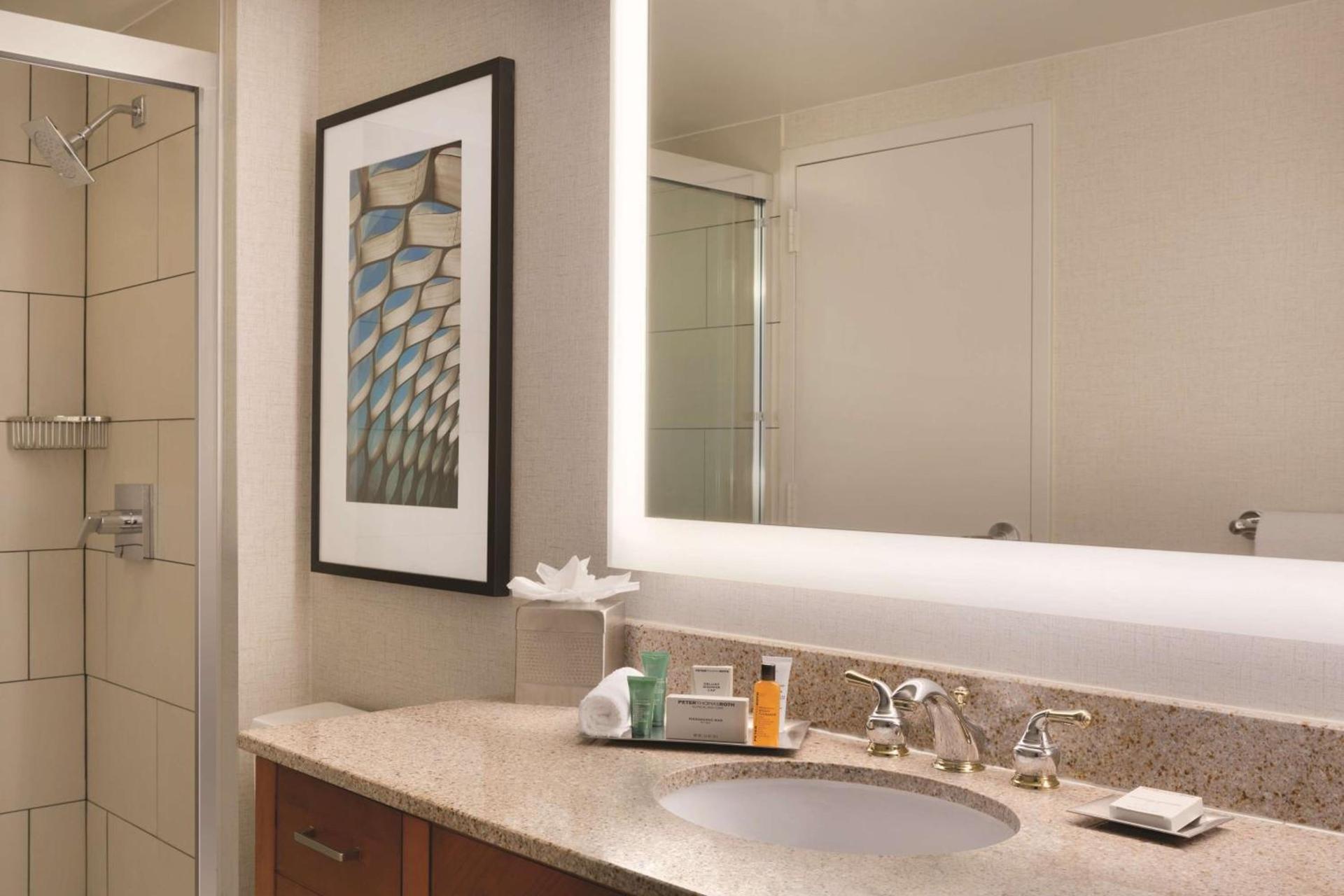 Hilton Chicago Magnificent Mile Suites photo 58