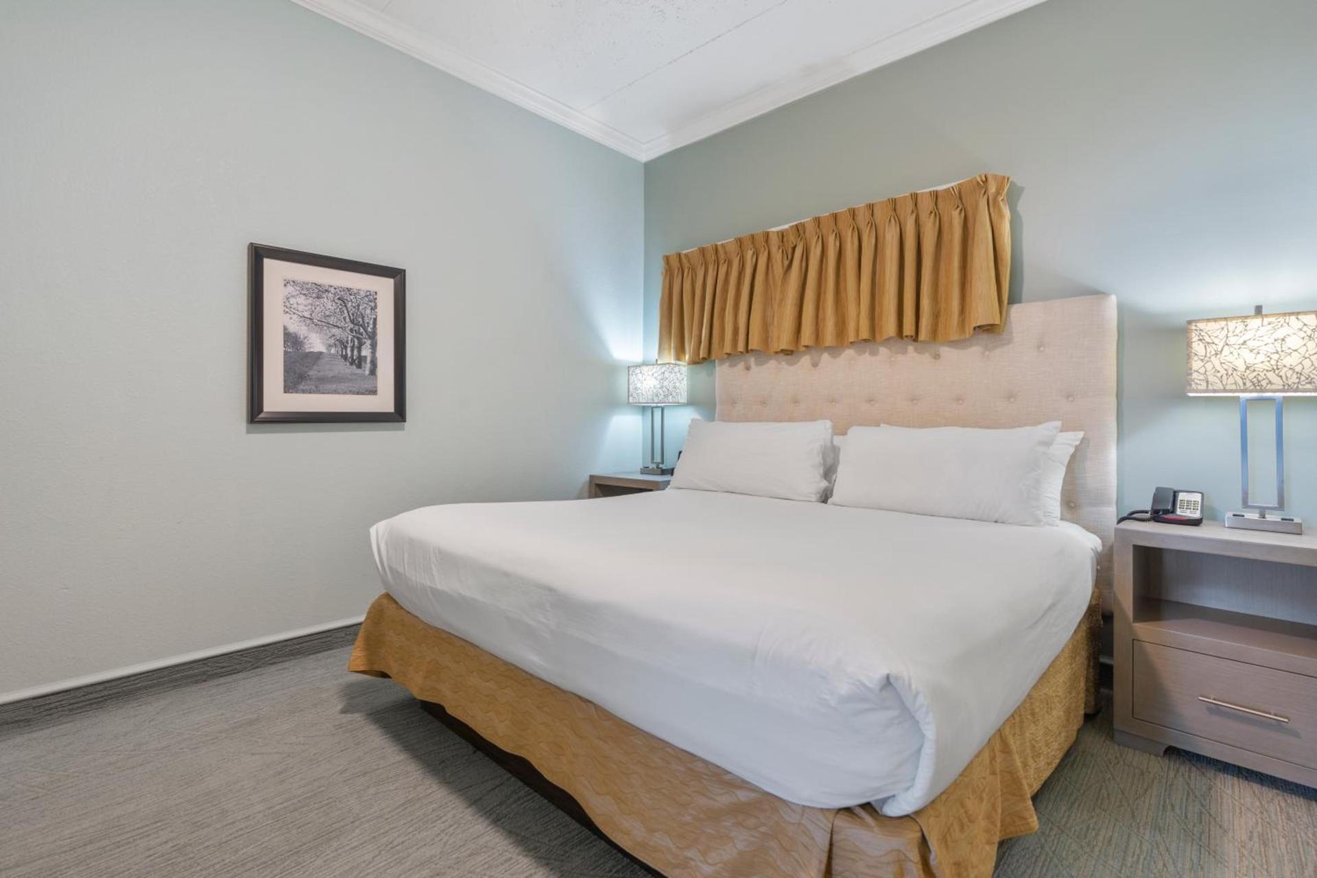Cherry Tree Inn & Suites photo 95