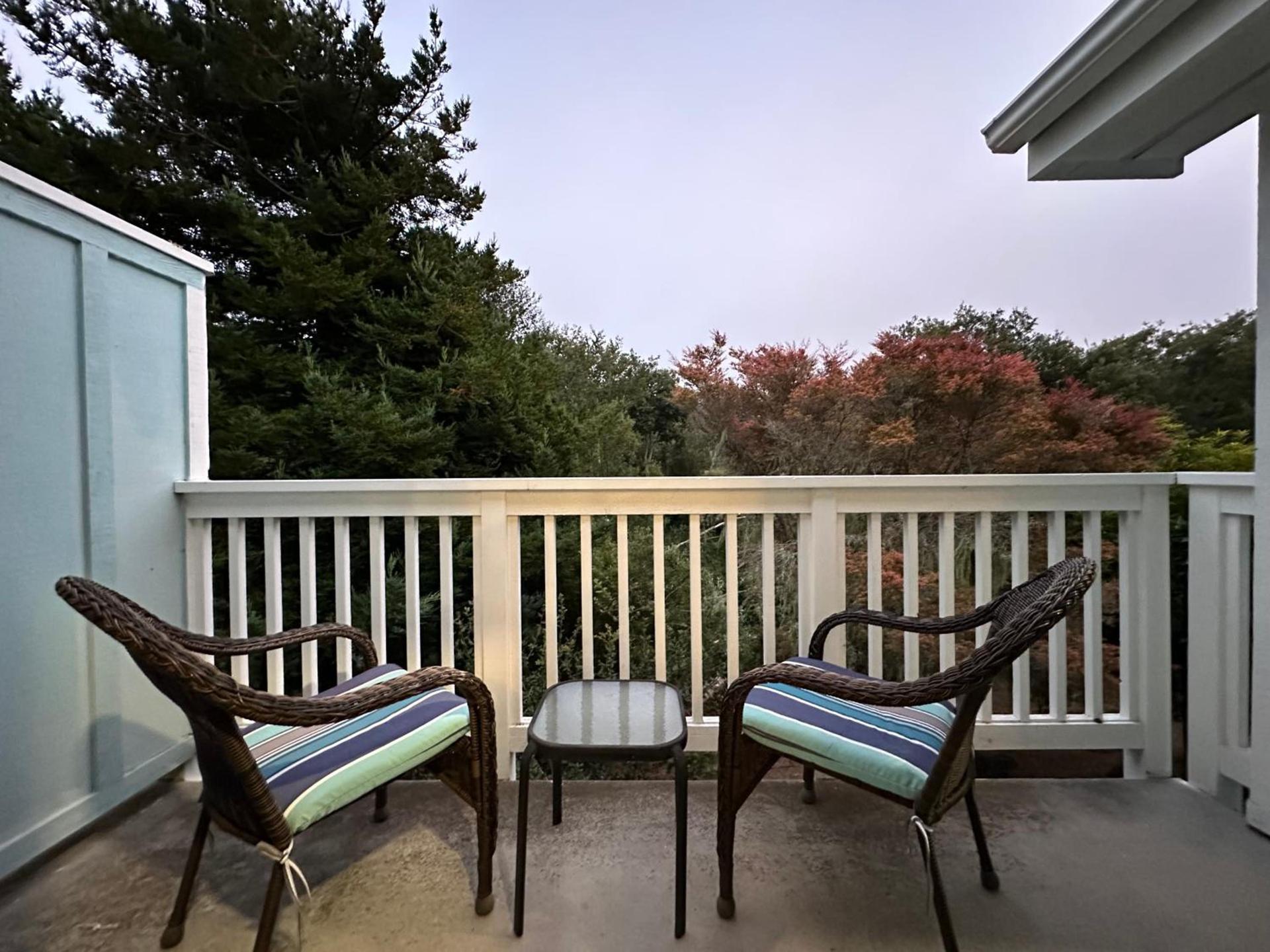 Bluebird Inn photo 27