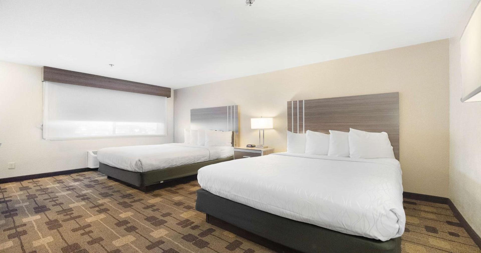 Best Western Amador Inn photo 50