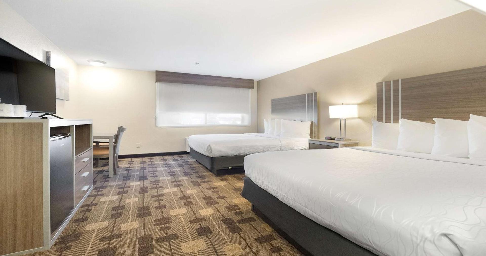 Best Western Amador Inn photo 51