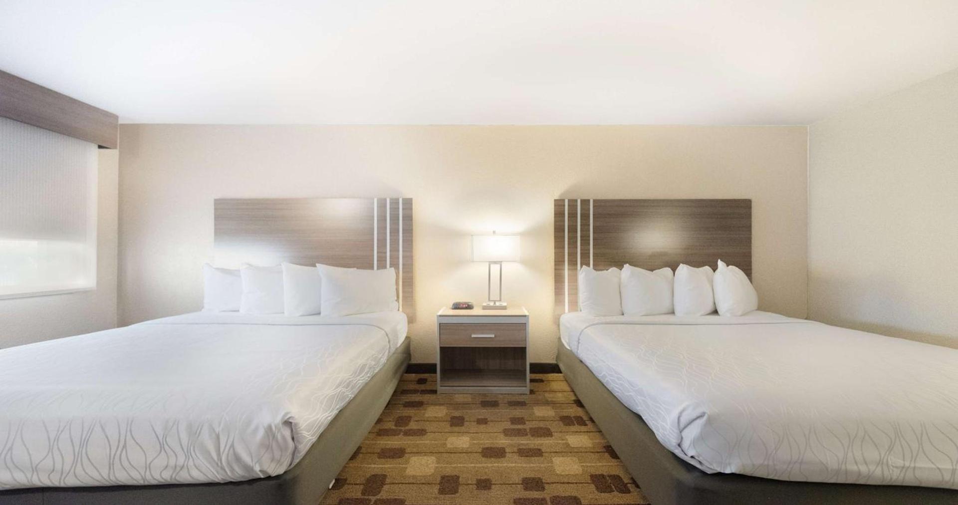 Best Western Amador Inn photo 53