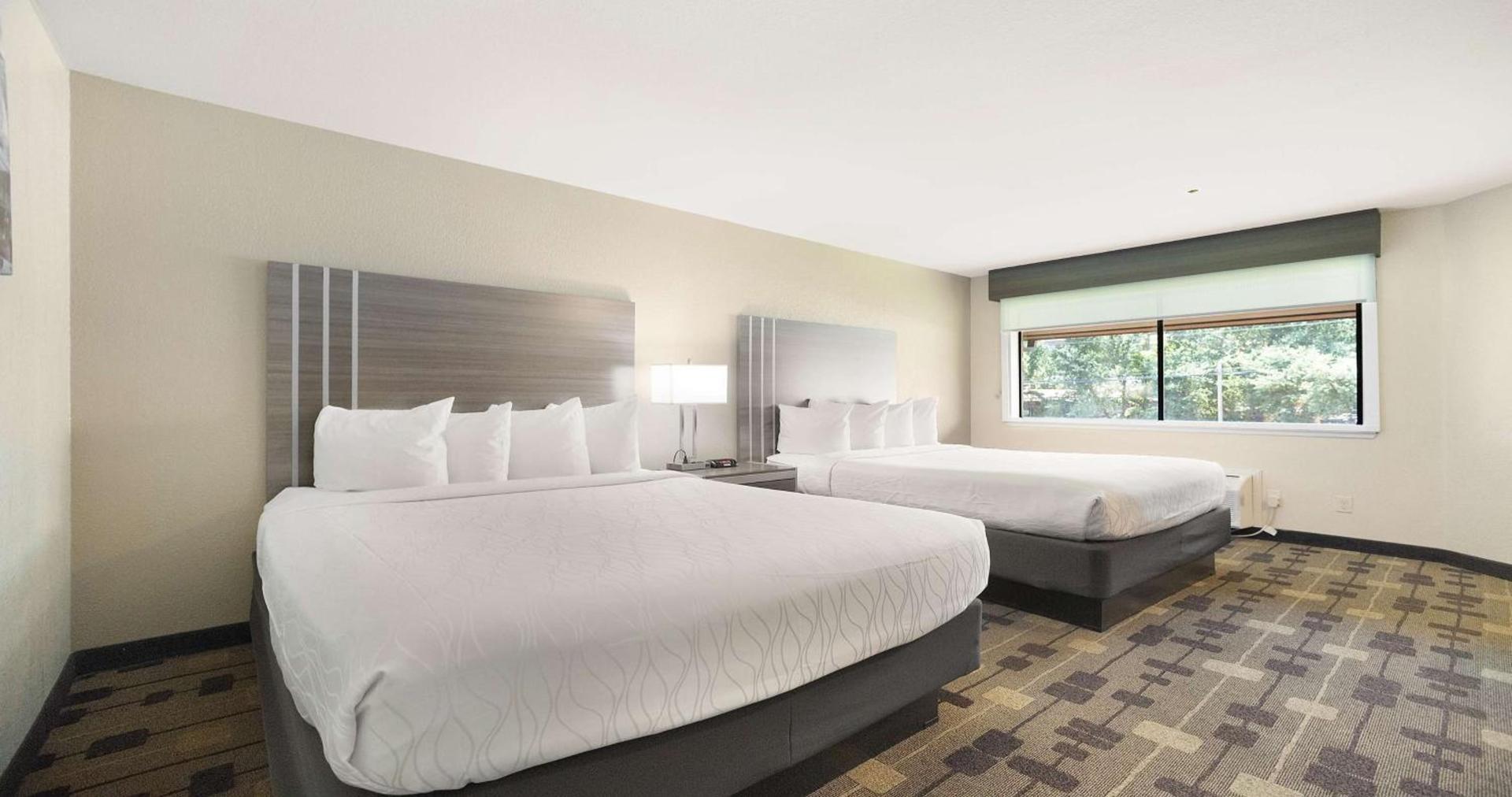 Best Western Amador Inn photo 56