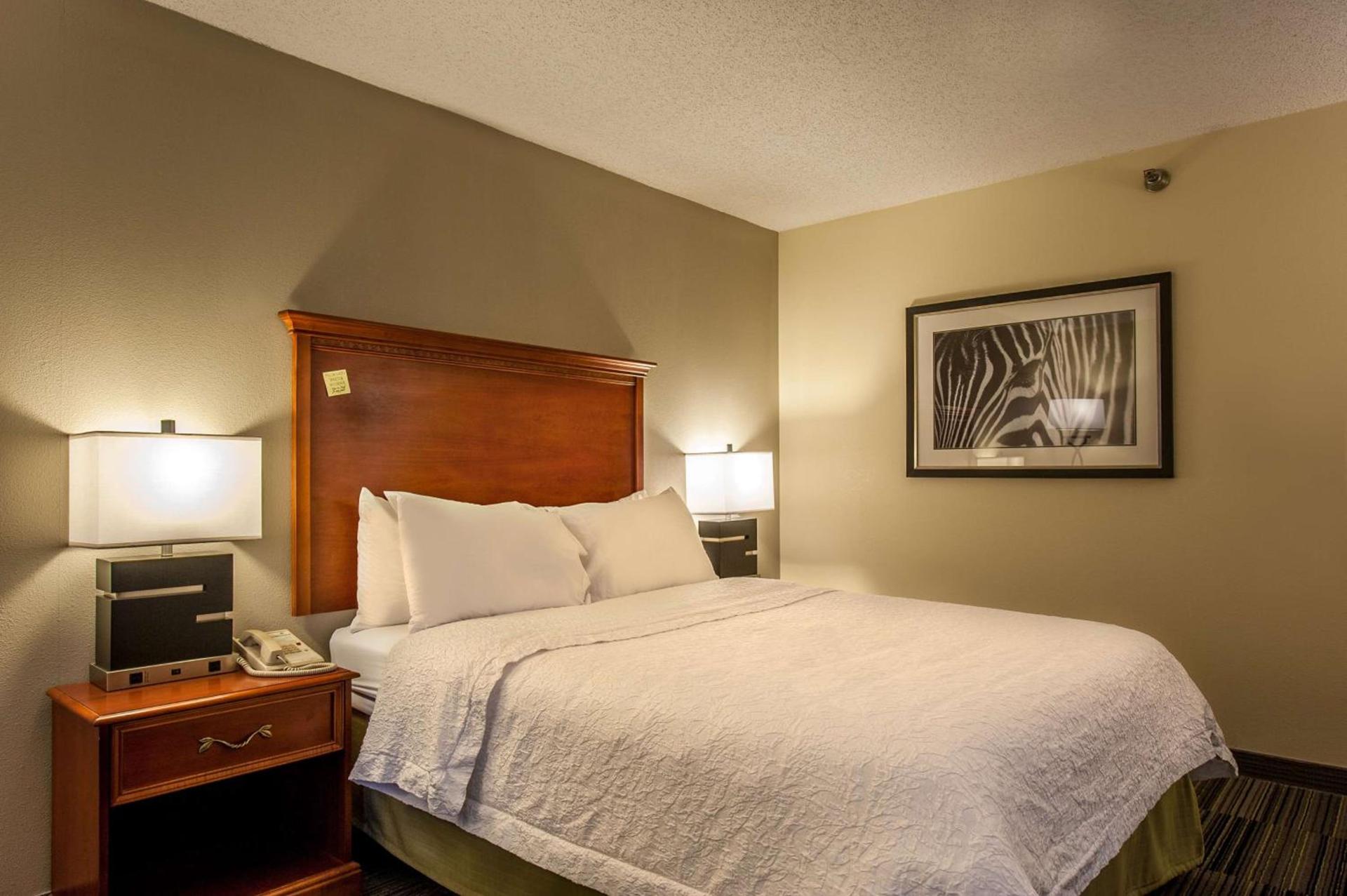 Hampton Inn Bowling Green KY photo 10