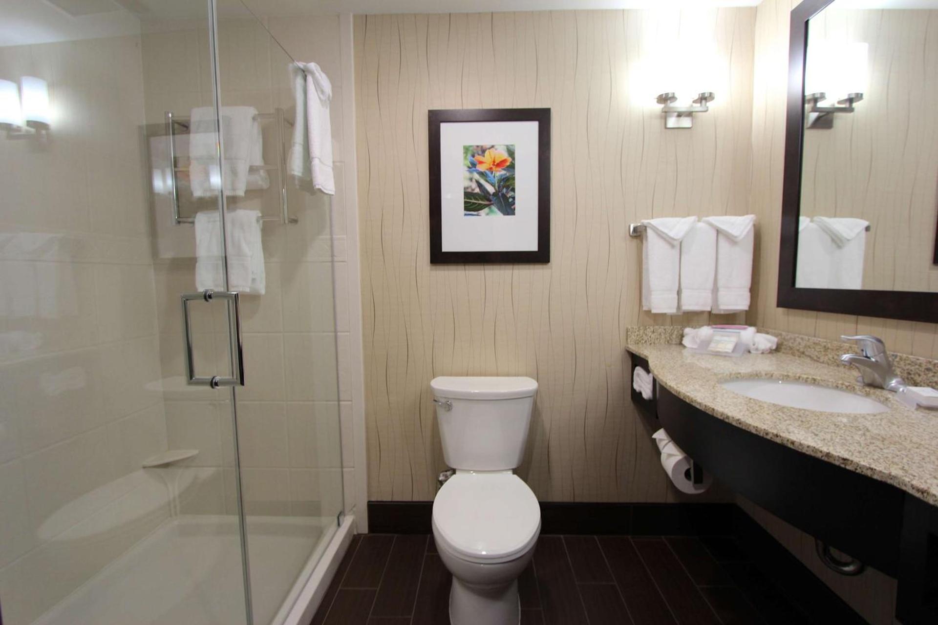 Hilton Garden Inn Findlay photo 29
