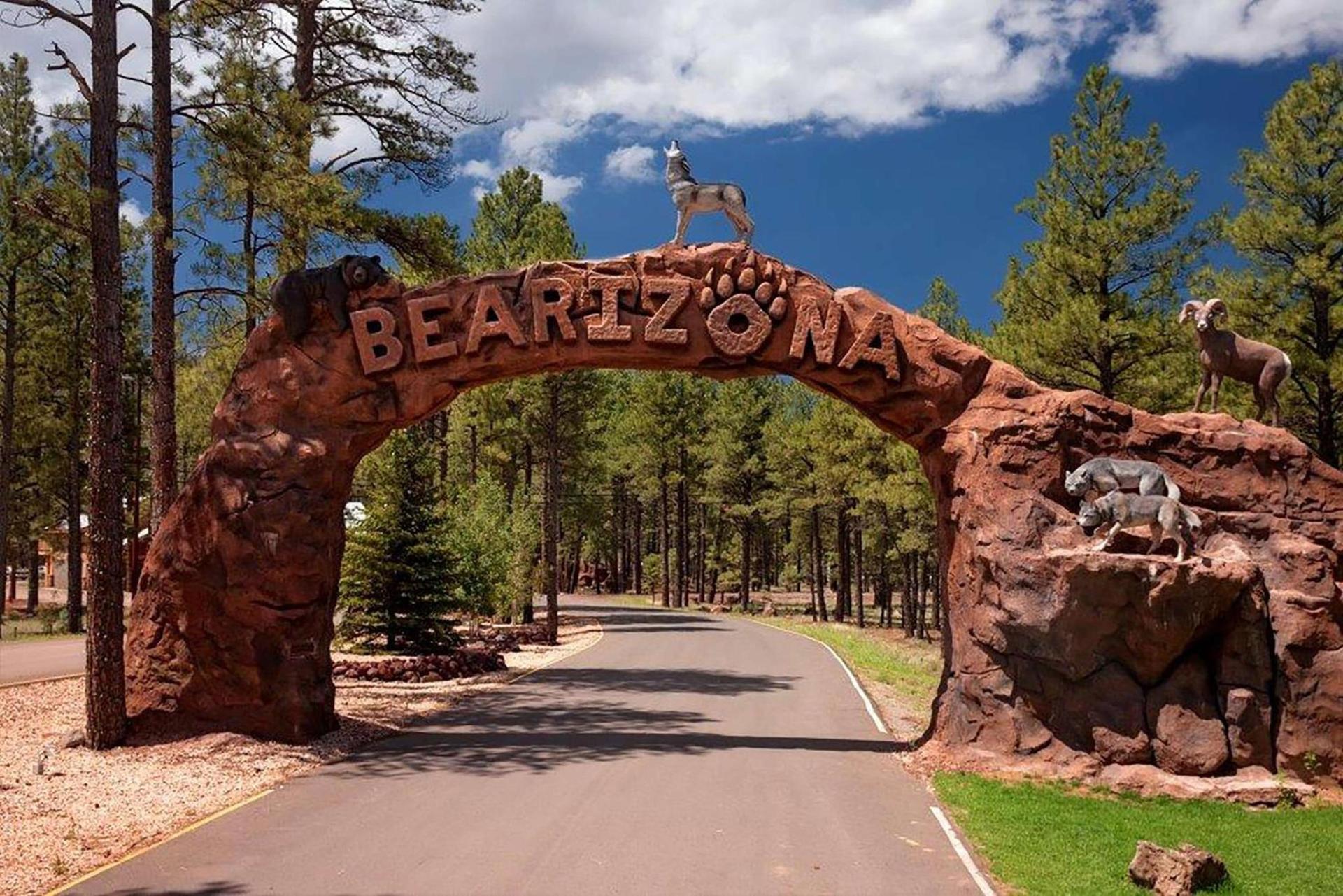 DoubleTree by Hilton Hotel Flagstaff photo 3