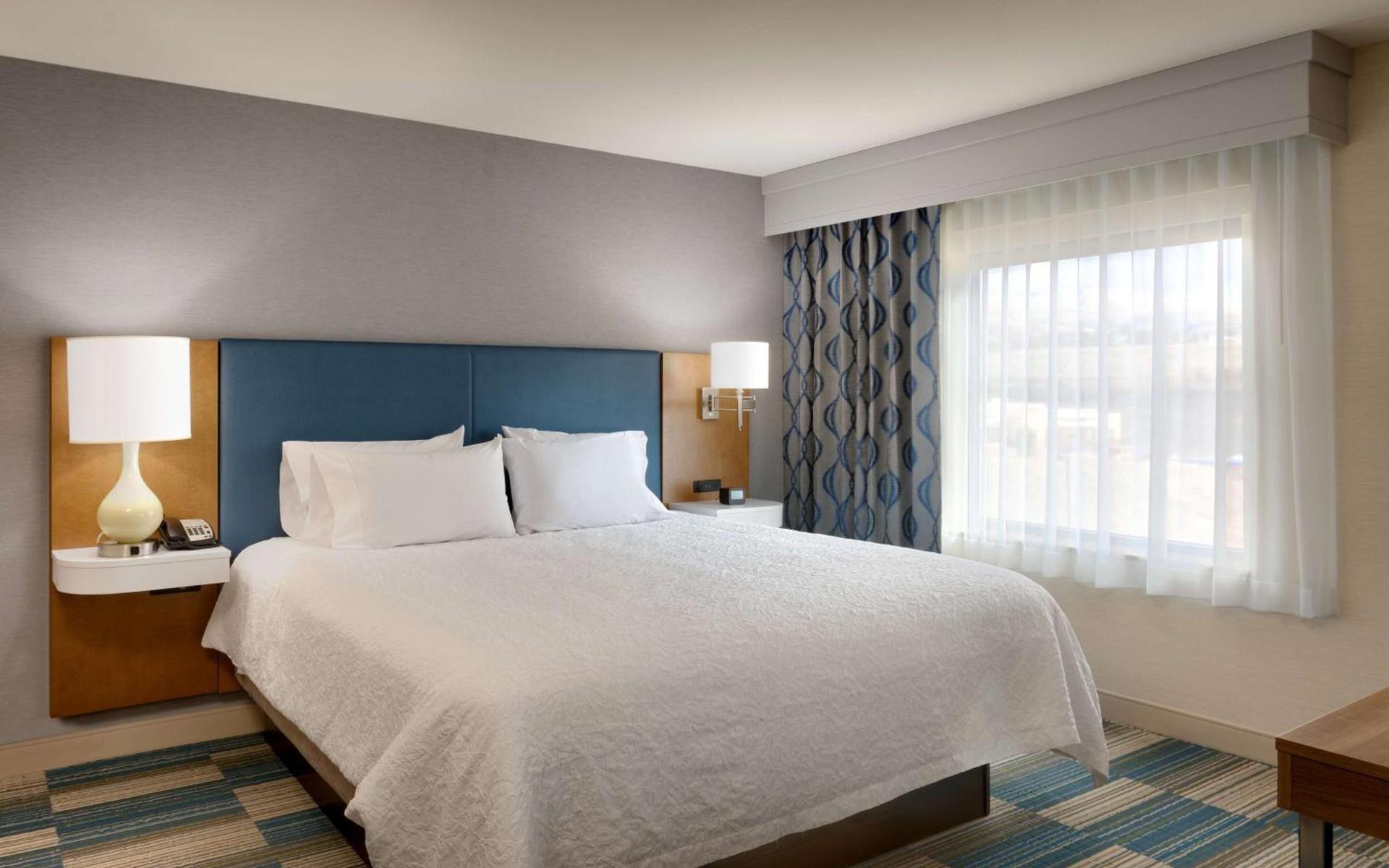 Hampton Inn & Suites Pocatello photo 27