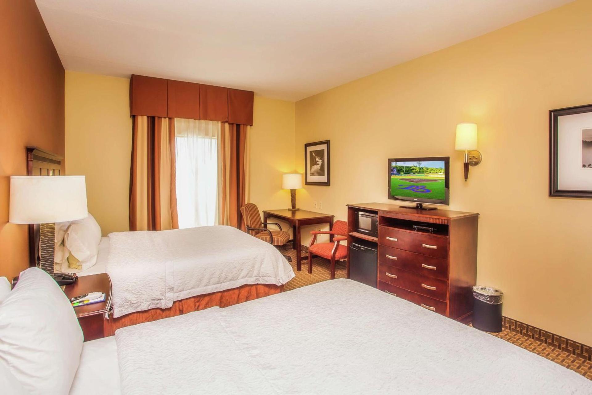 Hampton Inn & Suites Sevierville at Stadium Drive photo 3
