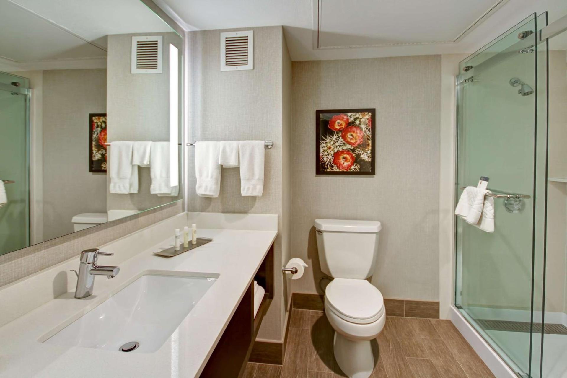 DoubleTree by Hilton Hotel Flagstaff photo 38