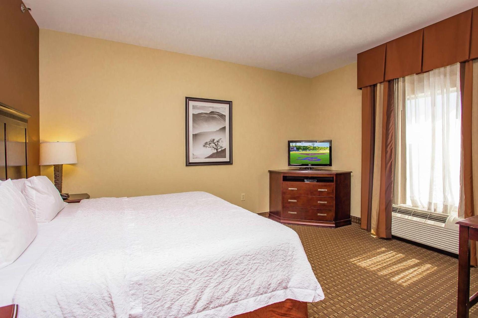 Hampton Inn & Suites Sevierville at Stadium Drive photo 22