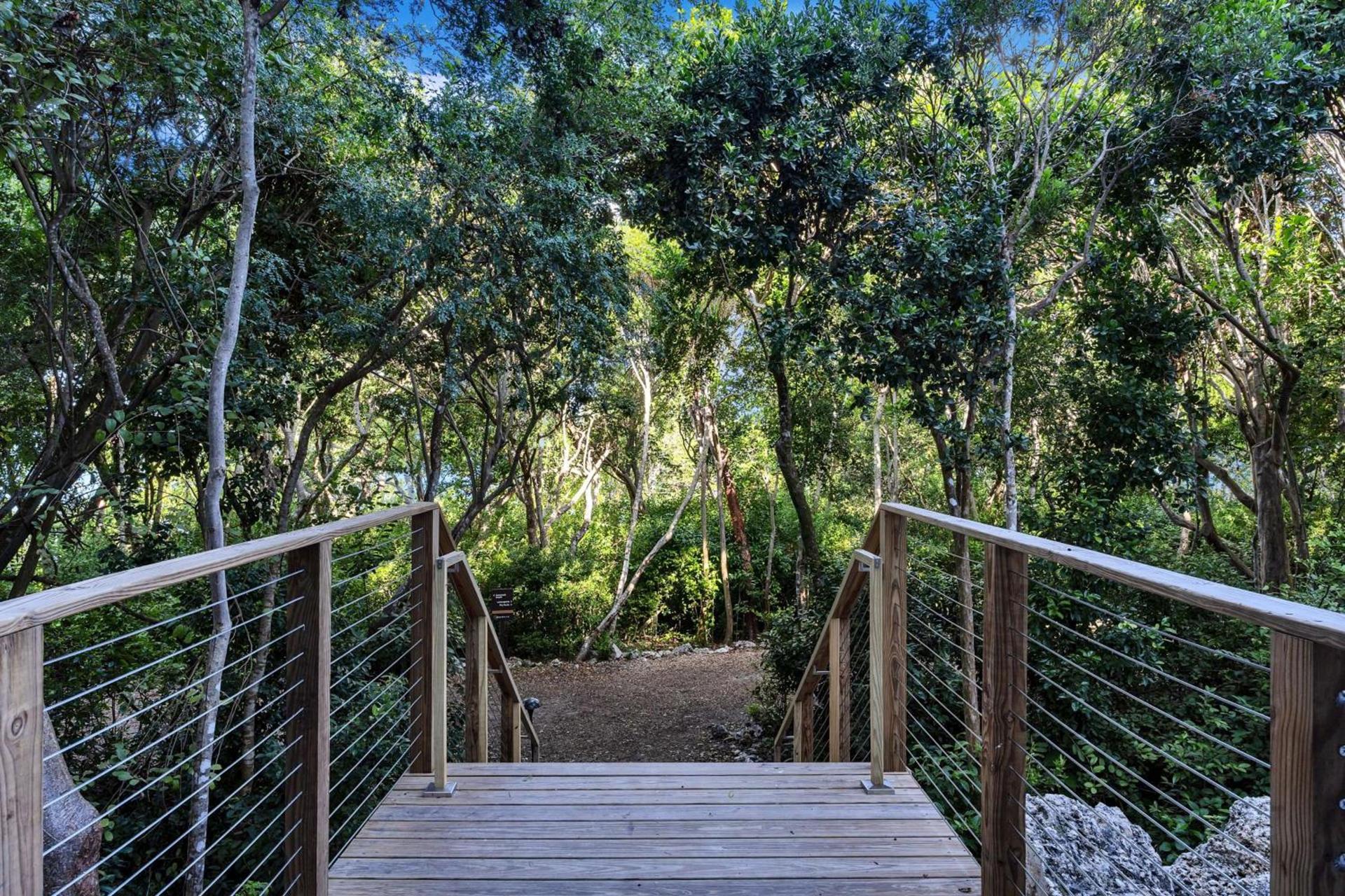 Baker's Cay Resort Key Largo, Curio Collection By Hilton photo 33