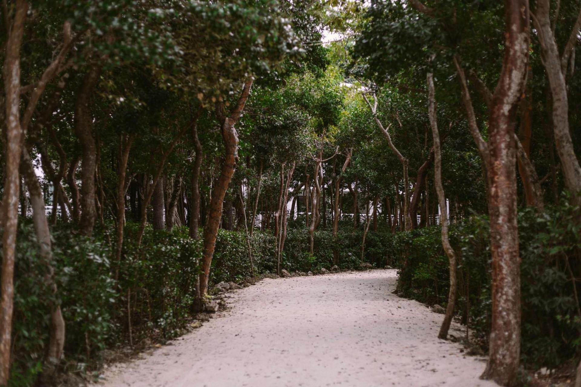 Baker's Cay Resort Key Largo, Curio Collection By Hilton photo 8