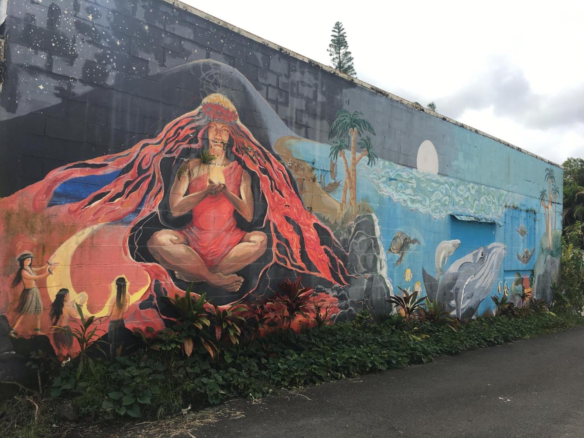 Pahoa Village Hostel photo 60