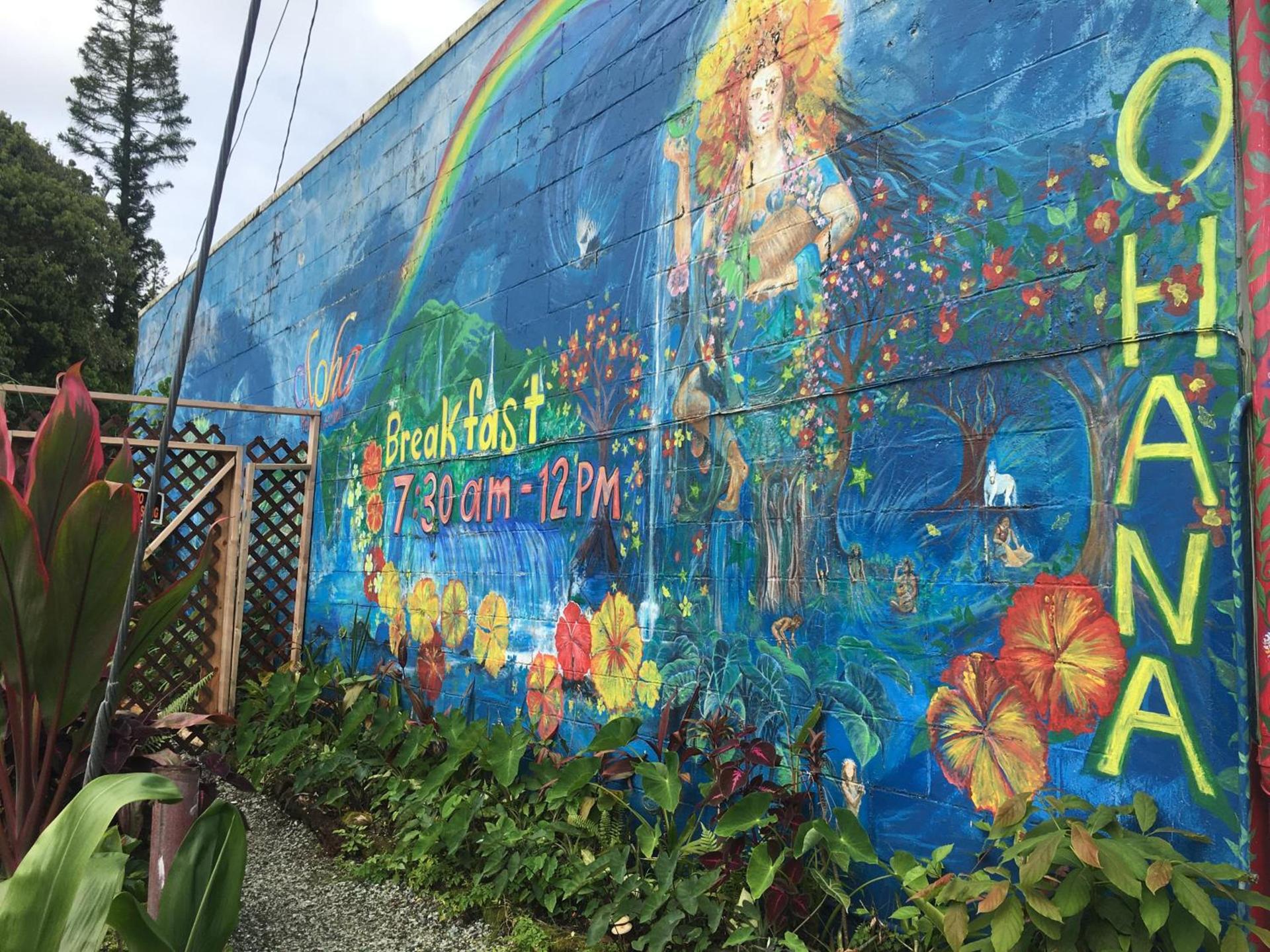 Pahoa Village Hostel photo 61