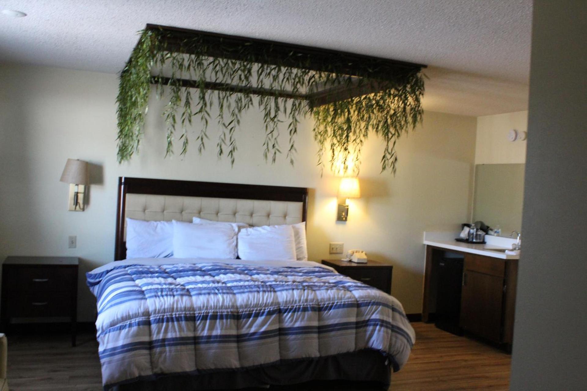 Bellevue Hotel and Suites photo 81