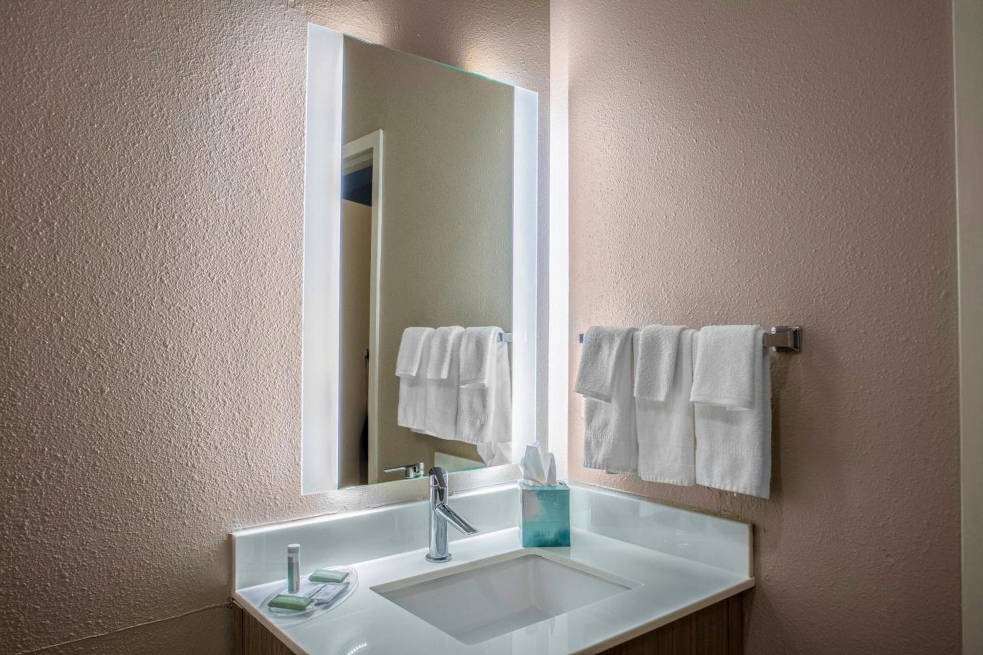 SpringHill Suites by Marriott Baton Rouge South photo 8