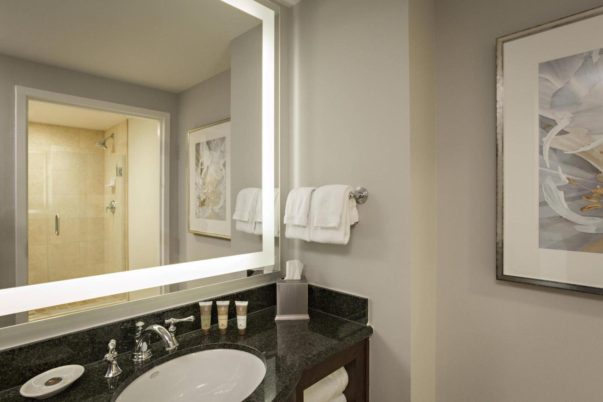 Gaylord Palms Resort & Convention Center photo 35