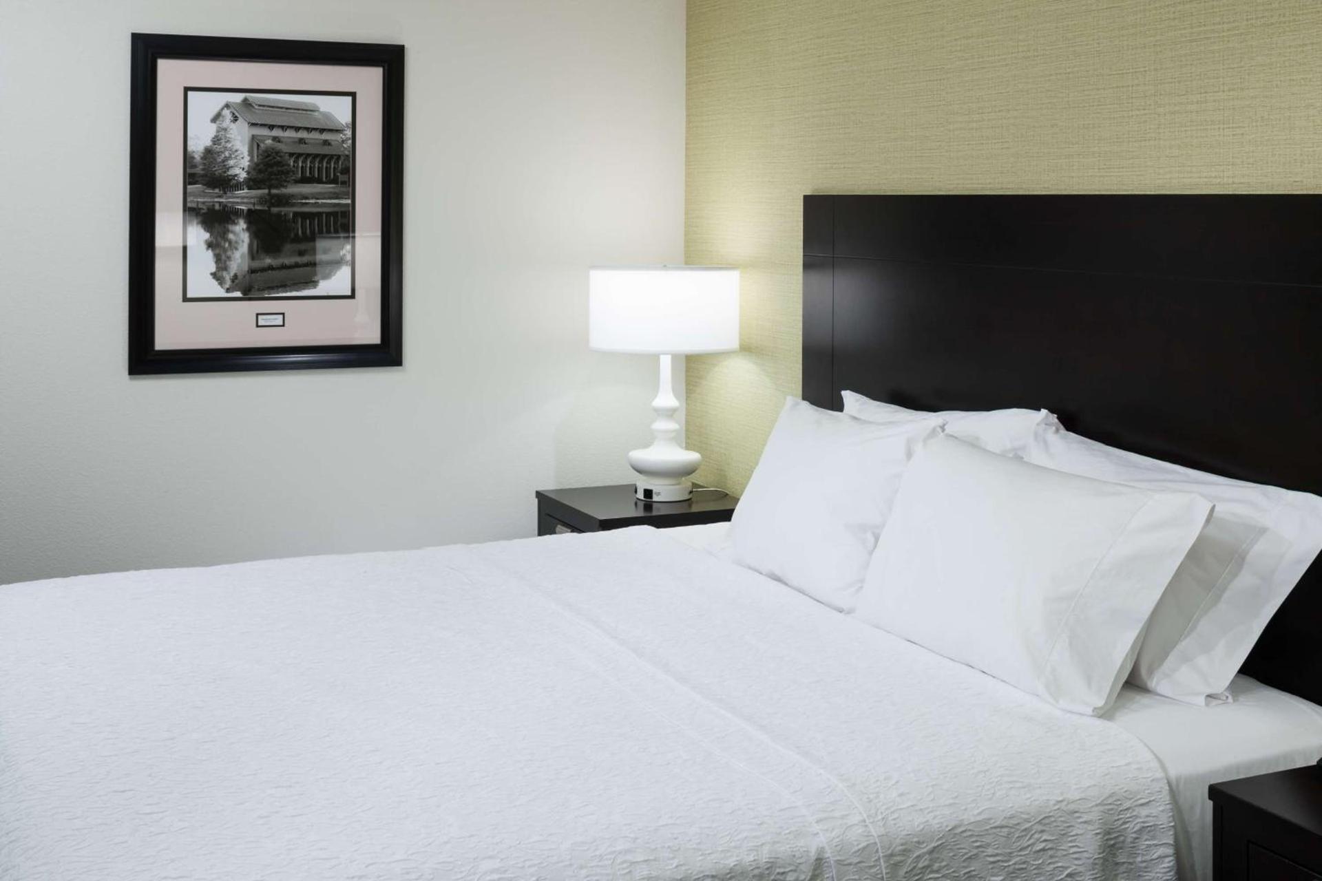 Hampton Inn & Suites Gainesville Downtown photo 30