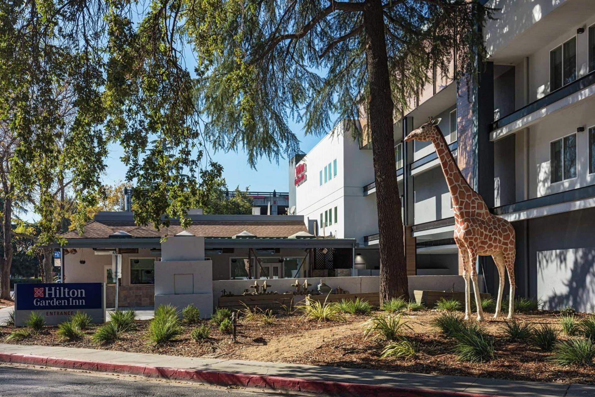 Hilton Garden Inn Davis Downtown photo 2